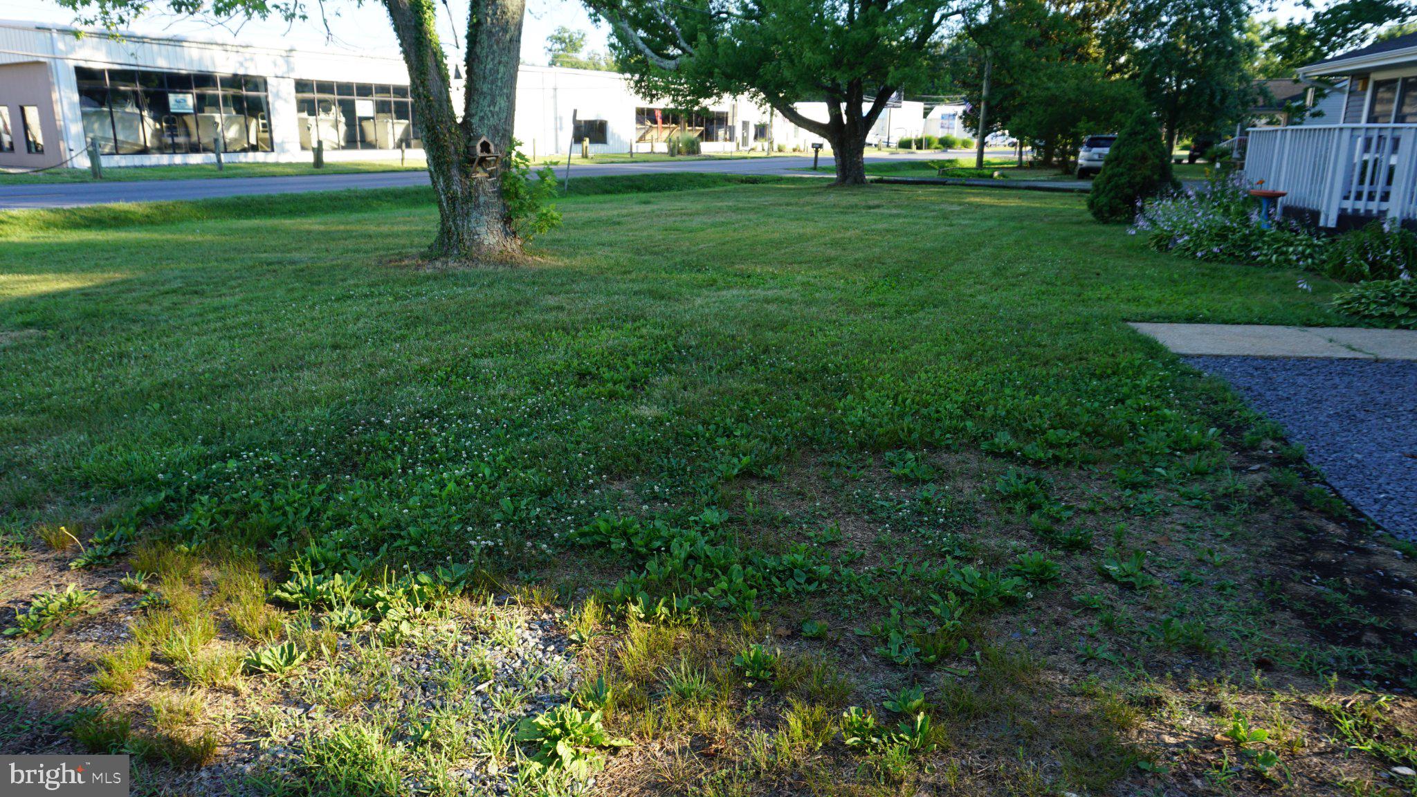 5854 Deale Churchton Road Deale, MD 20751 - Photo 8 of 57 Lush green lawn with shaded trees.