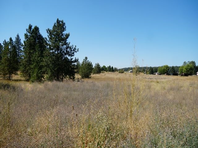 3409 North Old Trails Road Spokane, WA 99224 - Photo 3 of 5