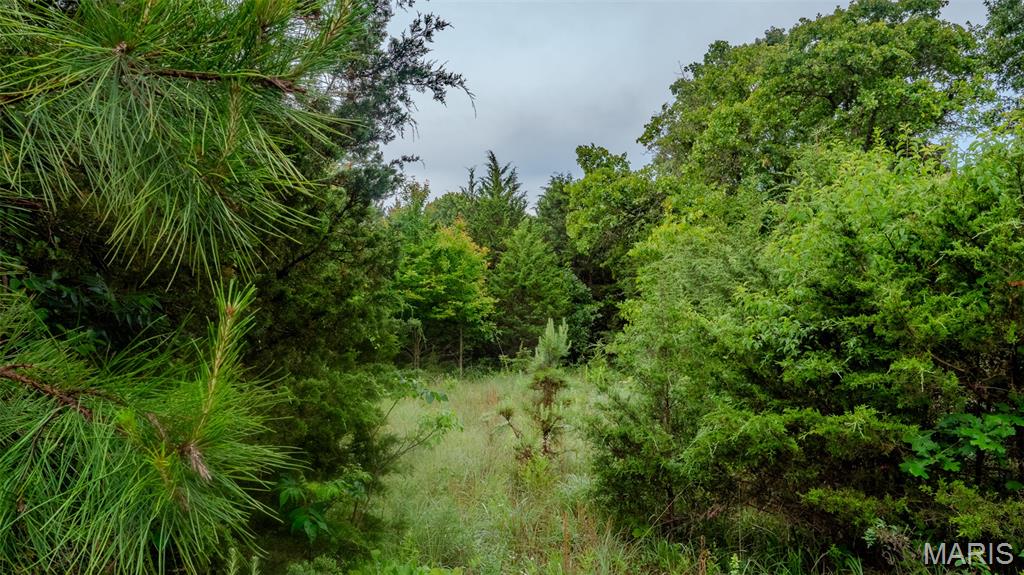 0 Hwy M Cabool, MO 65689 - Photo 63 of 68