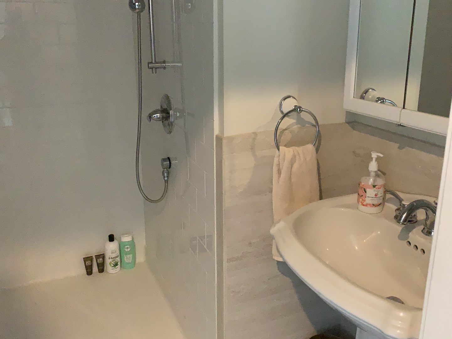 1003 Pember Circle West Dundee, IL 60118 - Photo 17 of 29 a bathroom with a sink and a shower