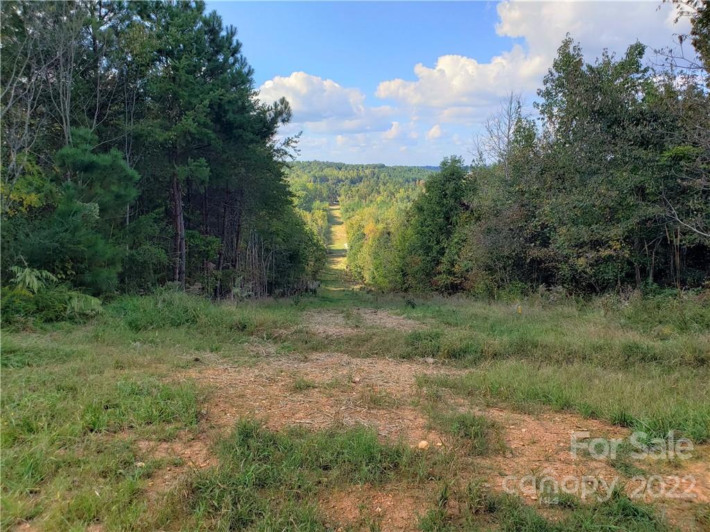 444 Little Hope Road Blacksburg, SC 29702 - Photo 7 of 26 Gallery Image 7