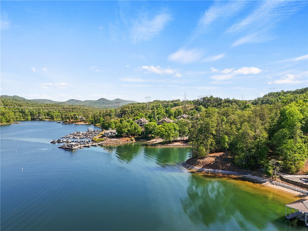 Lot 2 Johnson Drive Sunset, SC 29685 - Photo 13 of 22