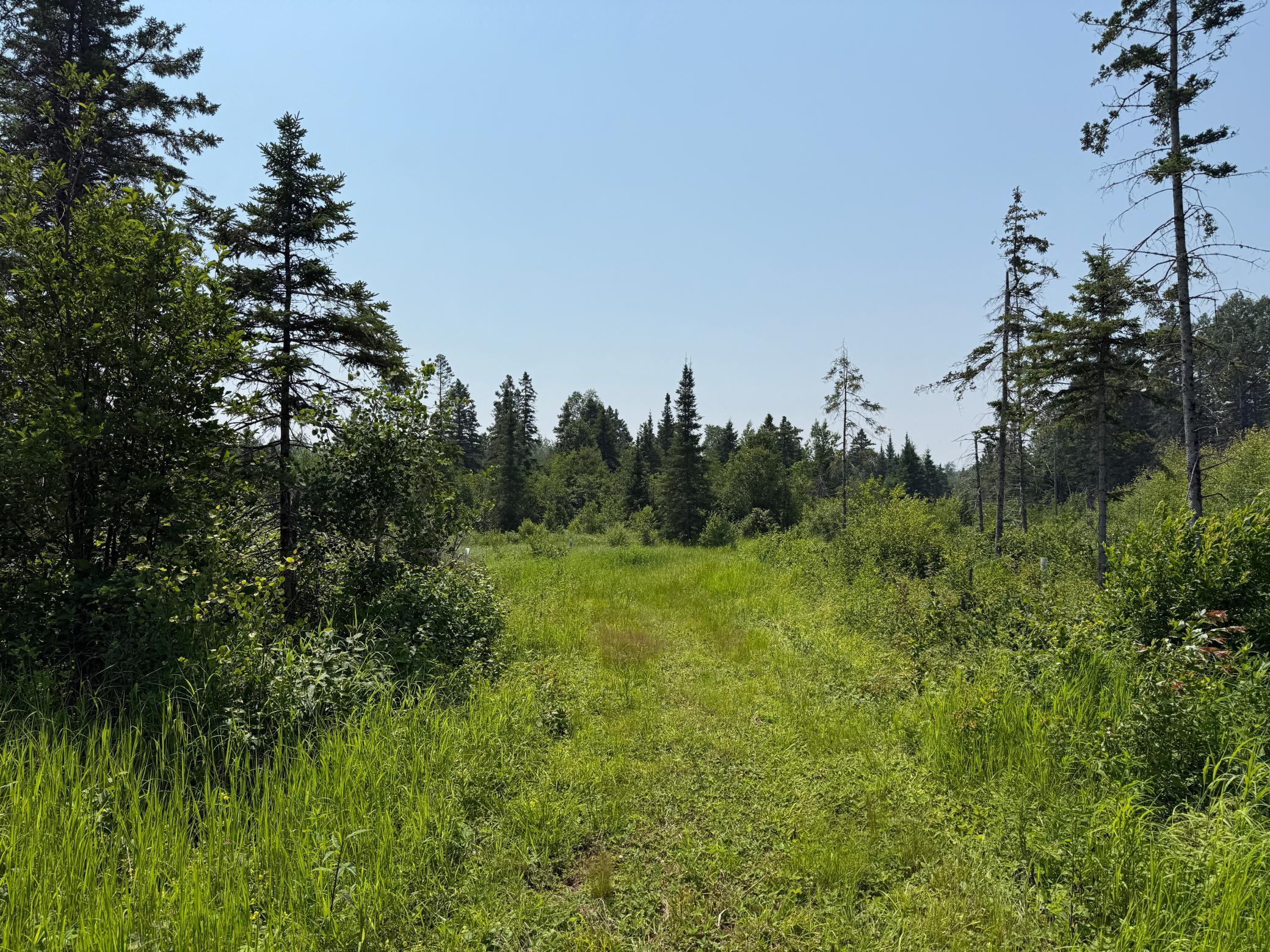 3437 Blueberry Hill Road Two Harbors, MN 55616 - Photo 101 of 106