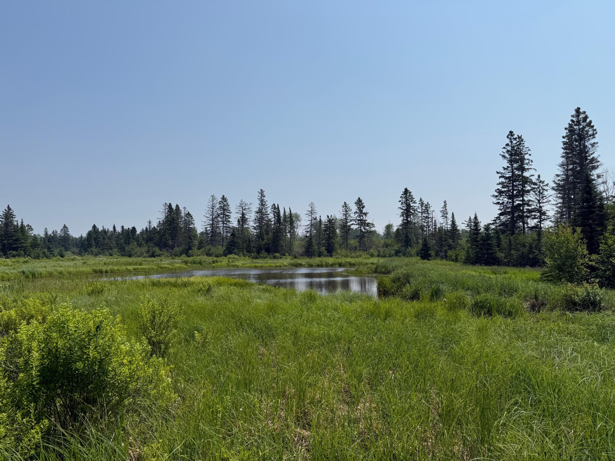 3437 Blueberry Hill Road Two Harbors, MN 55616 - Photo 102 of 106