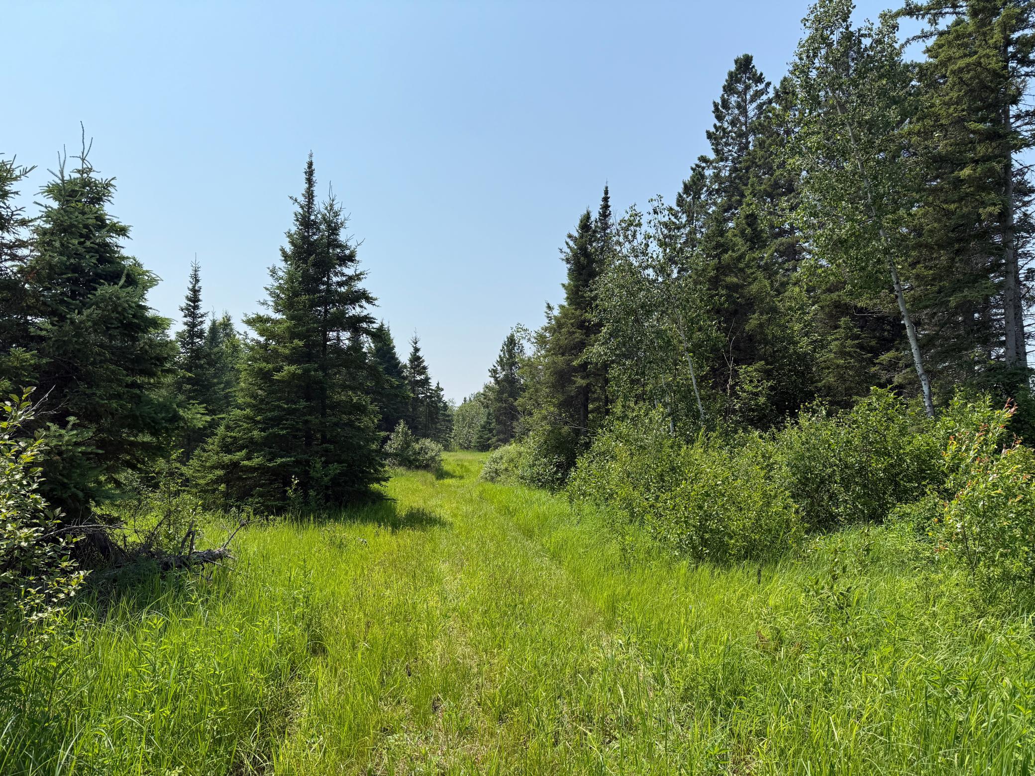 3437 Blueberry Hill Road Two Harbors, MN 55616 - Photo 103 of 106