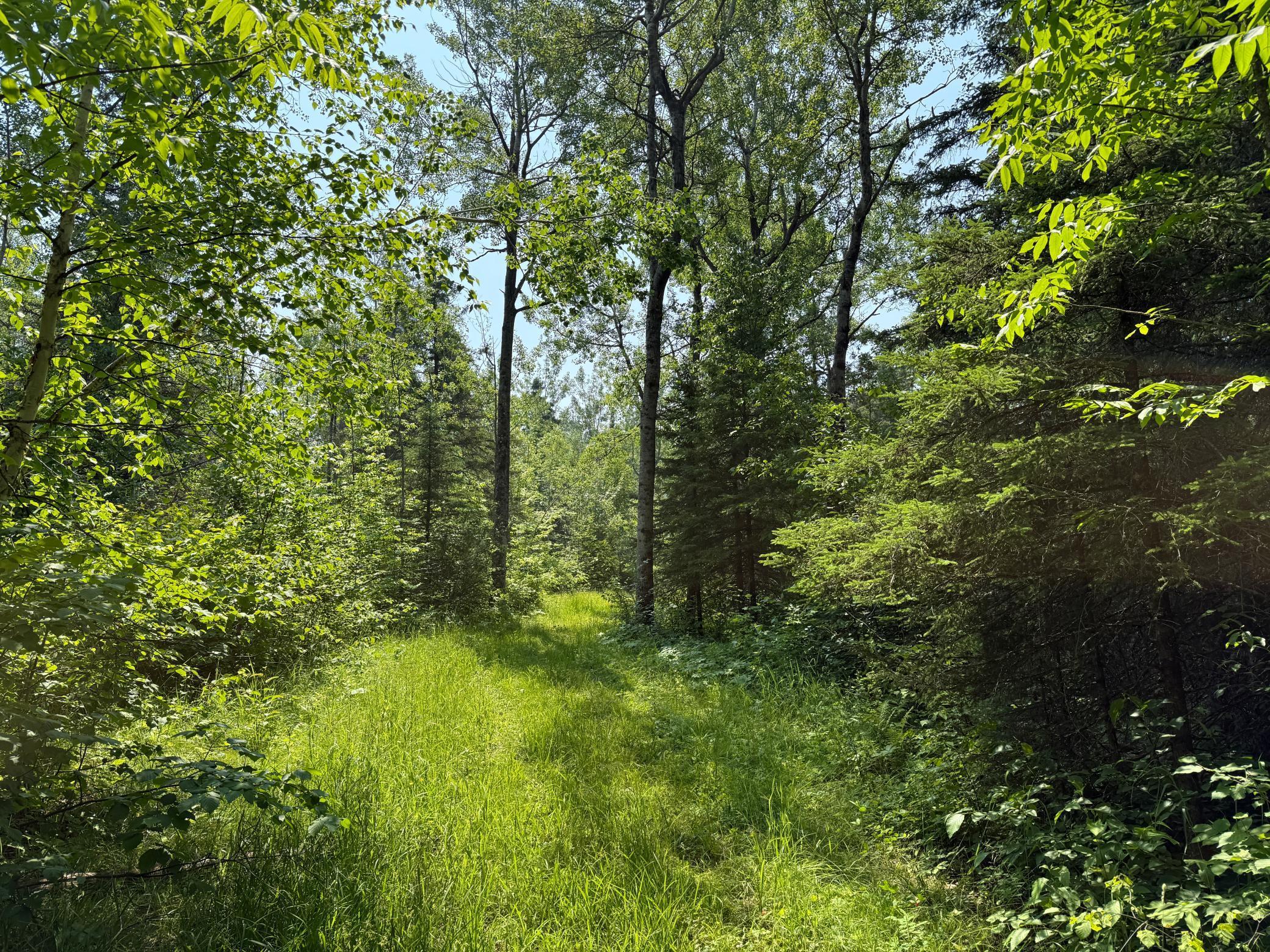 3437 Blueberry Hill Road Two Harbors, MN 55616 - Photo 105 of 106