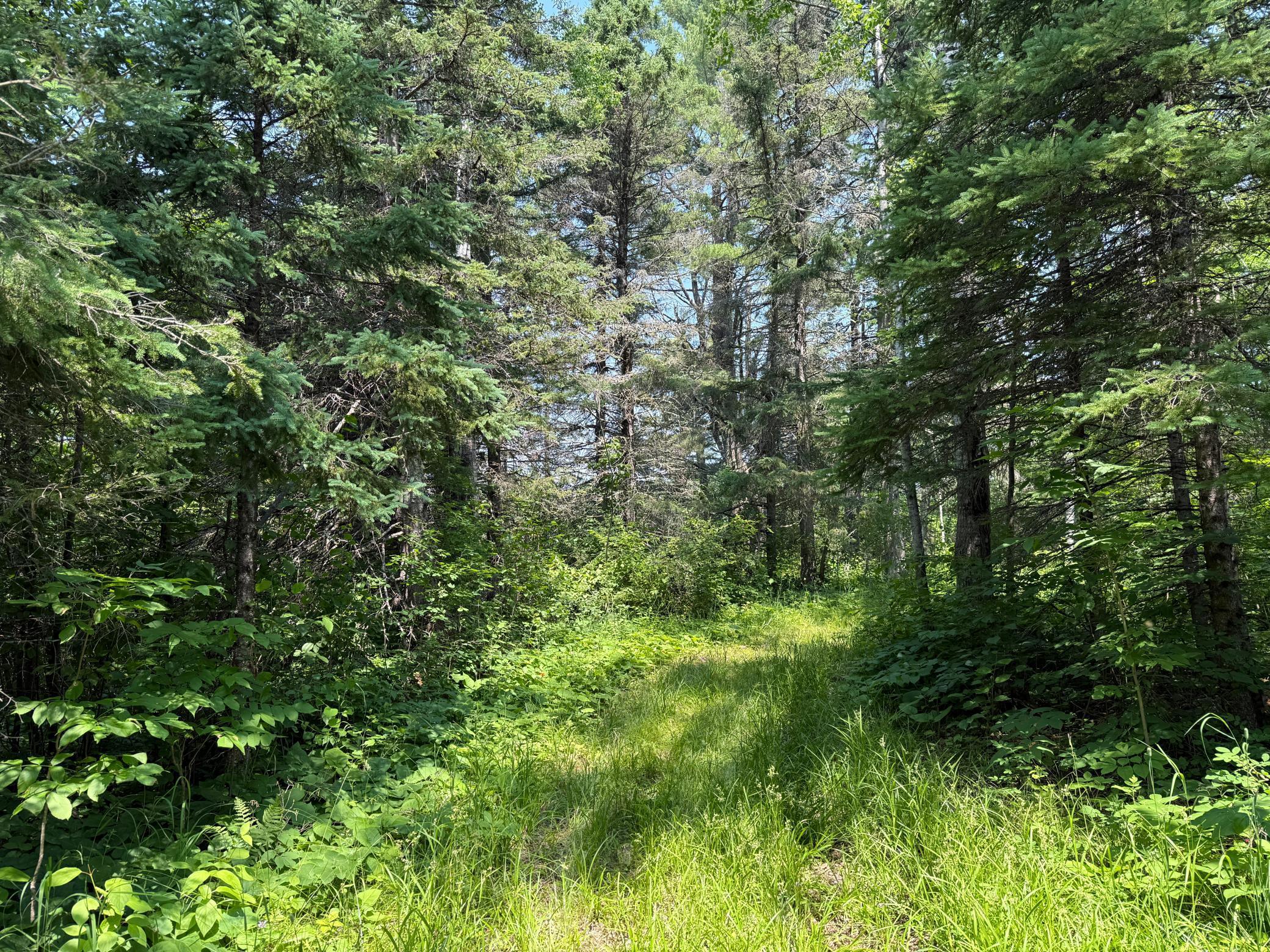 3437 Blueberry Hill Road Two Harbors, MN 55616 - Photo 106 of 106