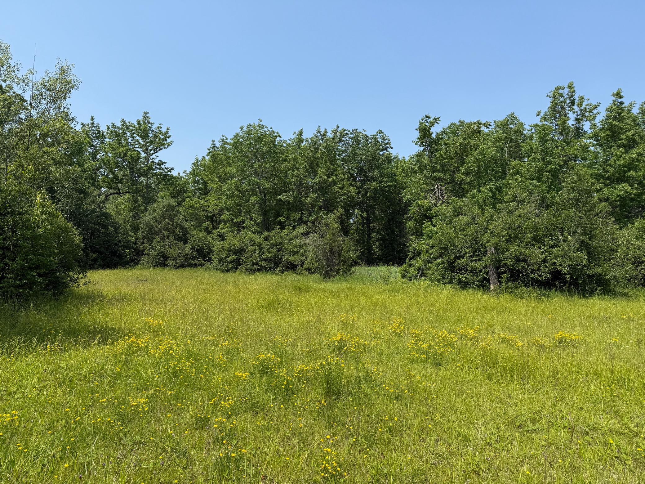 3437 Blueberry Hill Road Two Harbors, MN 55616 - Photo 61 of 106