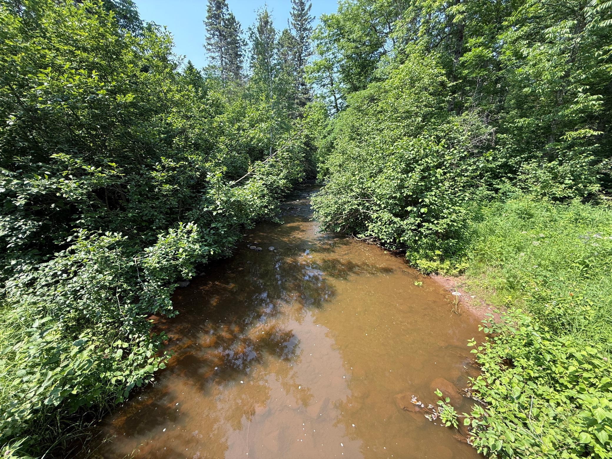 3437 Blueberry Hill Road Two Harbors, MN 55616 - Photo 62 of 106