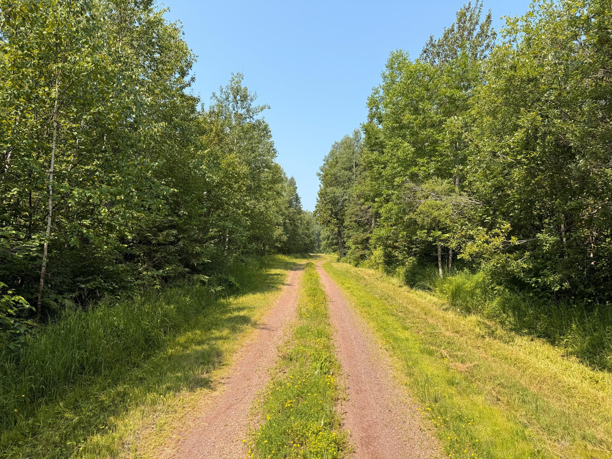 3437 Blueberry Hill Road Two Harbors, MN 55616 - Photo 65 of 106