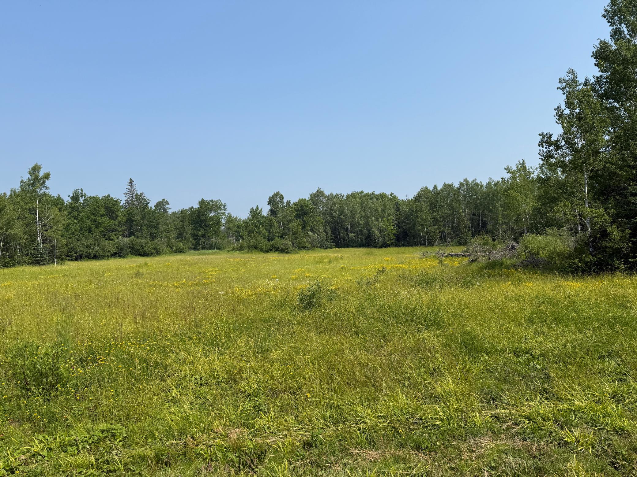 3437 Blueberry Hill Road Two Harbors, MN 55616 - Photo 67 of 106