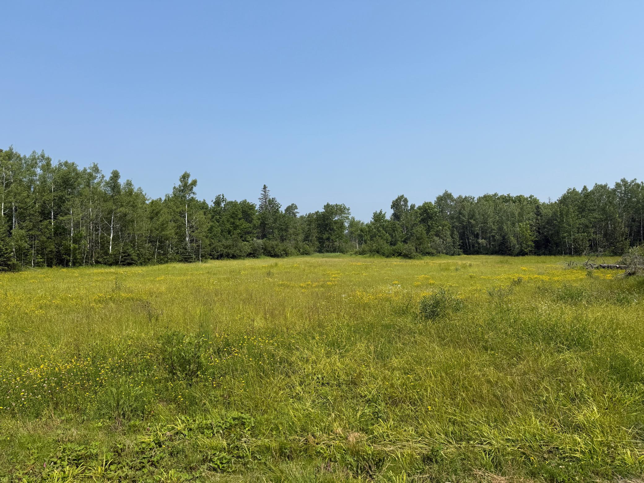 3437 Blueberry Hill Road Two Harbors, MN 55616 - Photo 68 of 106
