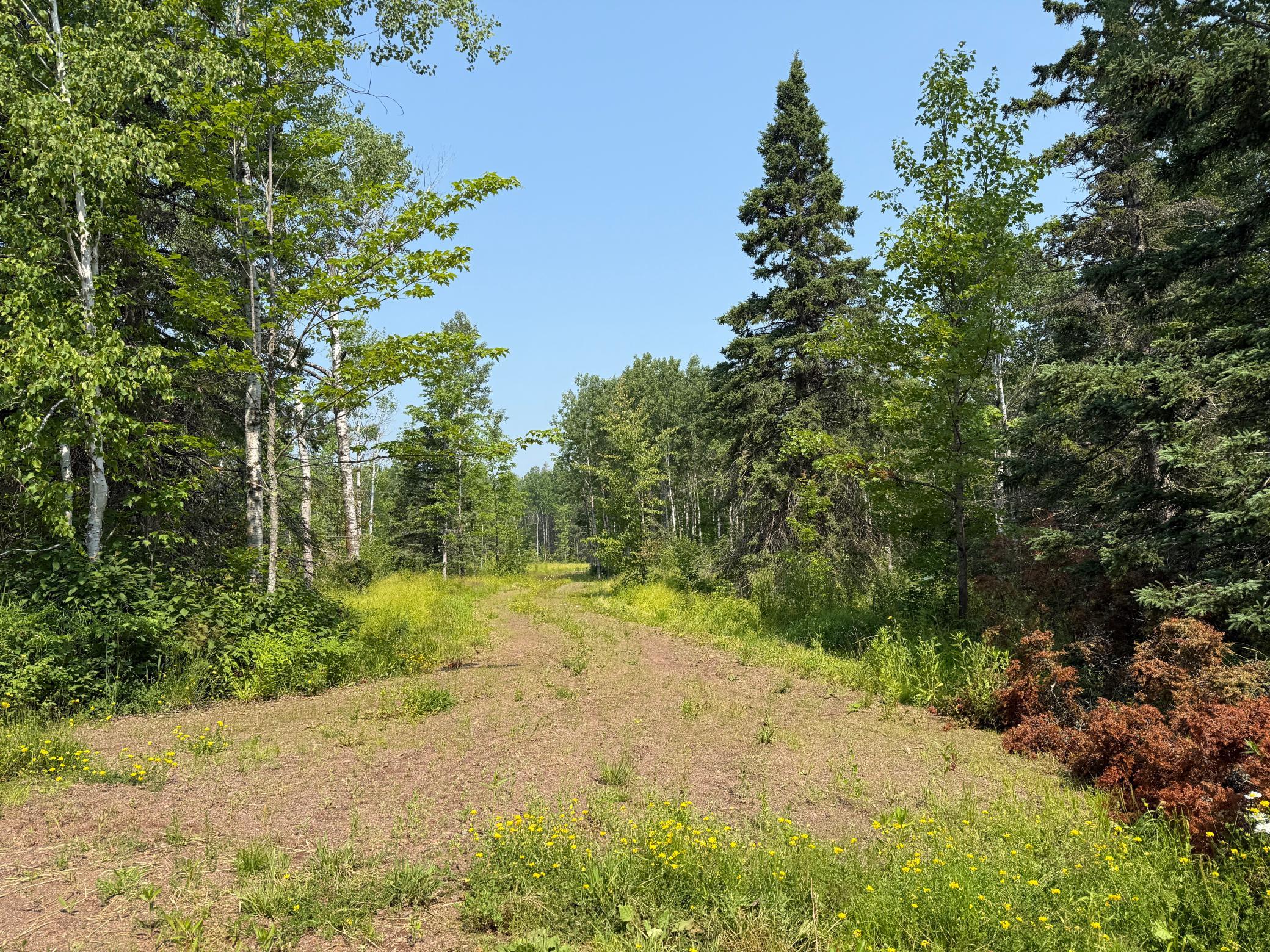 3437 Blueberry Hill Road Two Harbors, MN 55616 - Photo 69 of 106