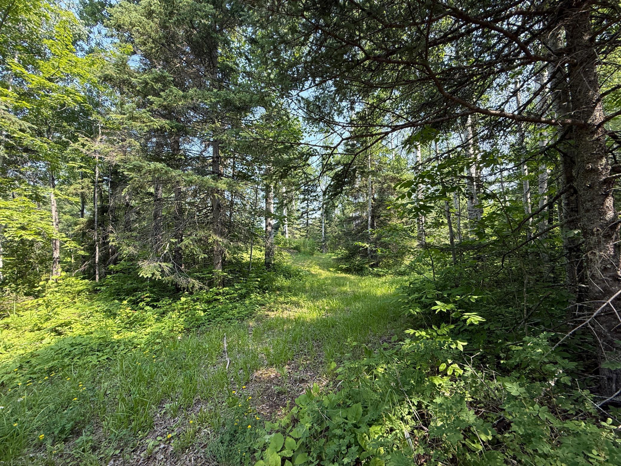 3437 Blueberry Hill Road Two Harbors, MN 55616 - Photo 71 of 106