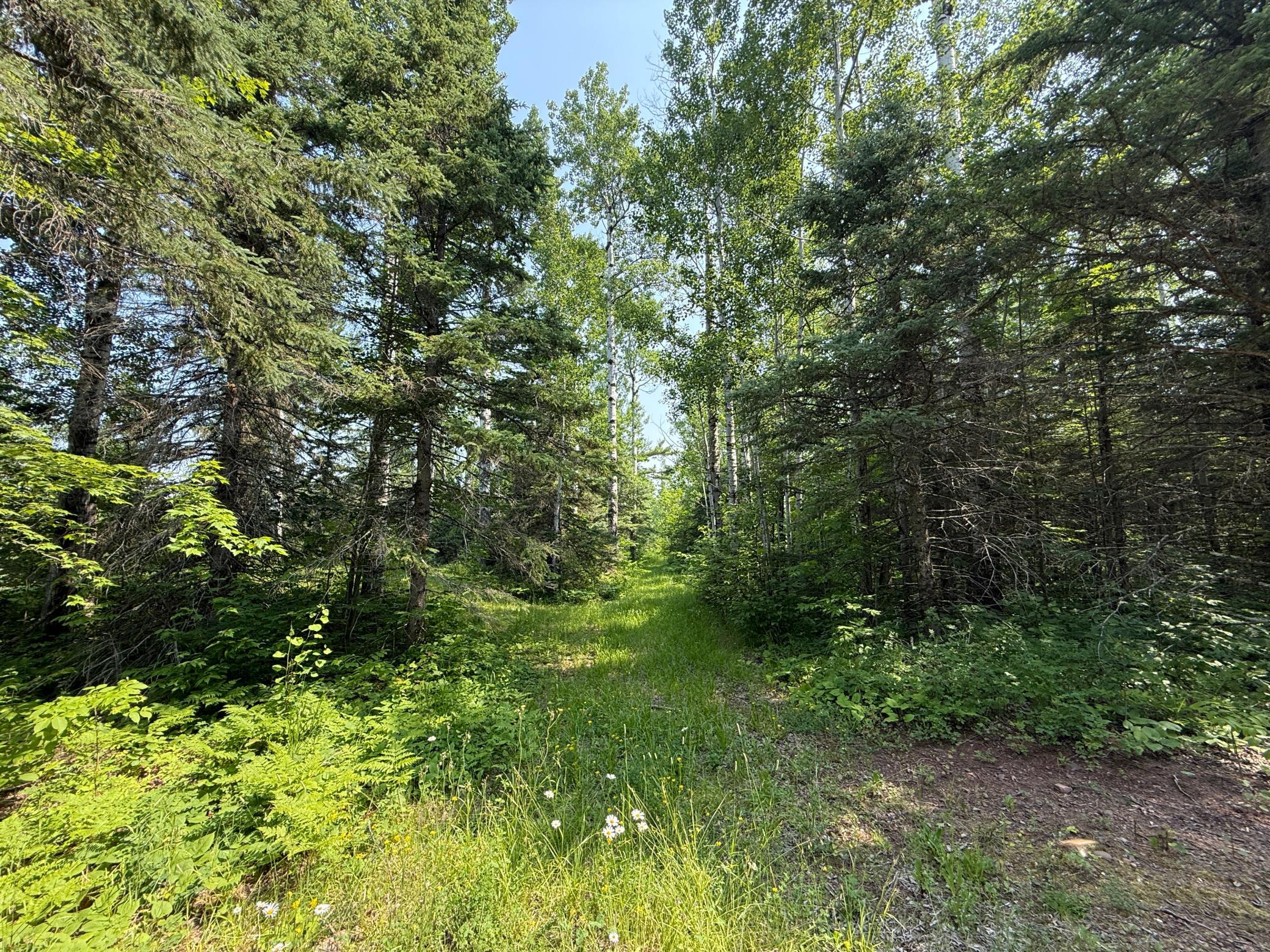 3437 Blueberry Hill Road Two Harbors, MN 55616 - Photo 72 of 106