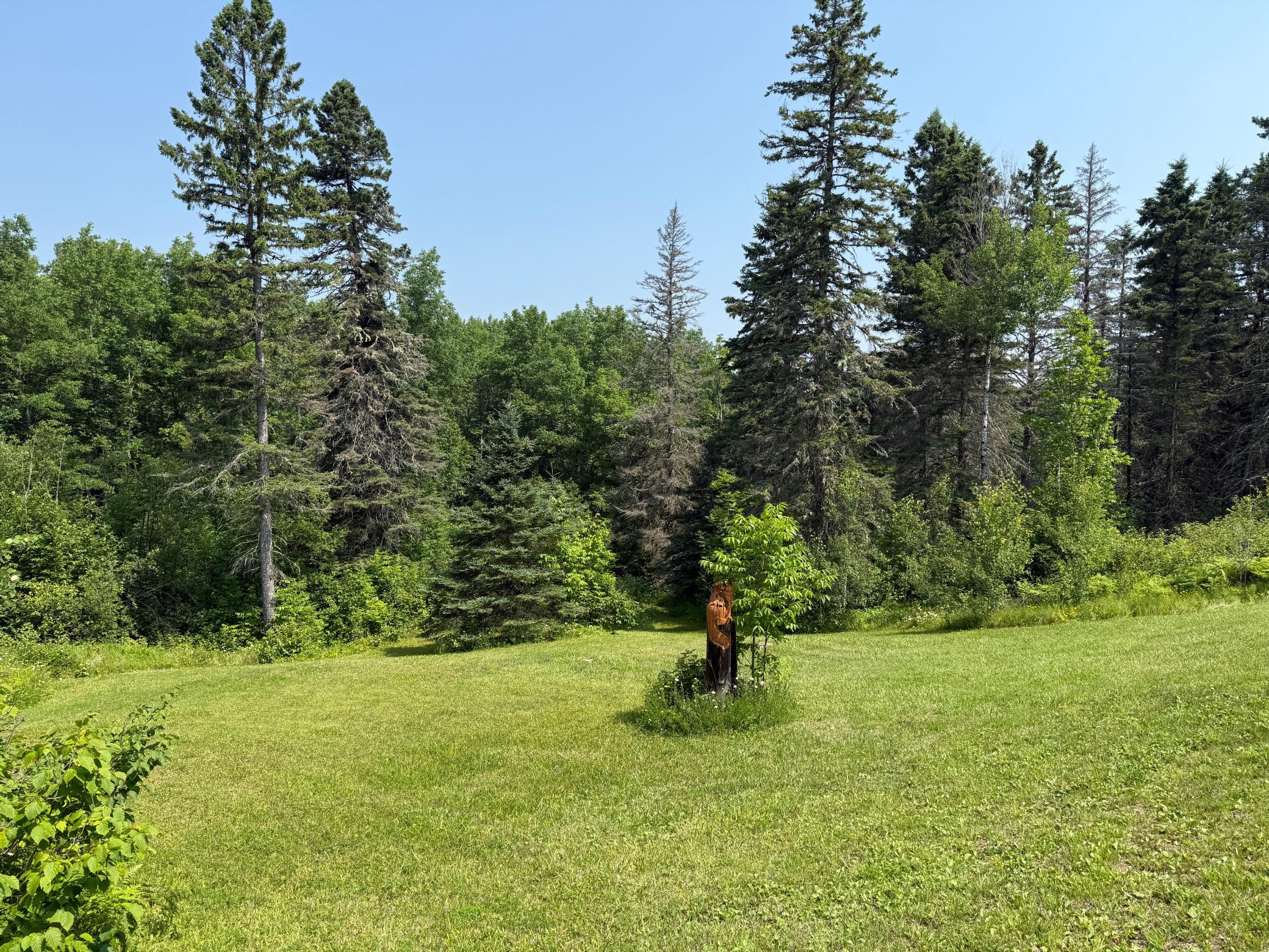 3437 Blueberry Hill Road Two Harbors, MN 55616 - Photo 74 of 106