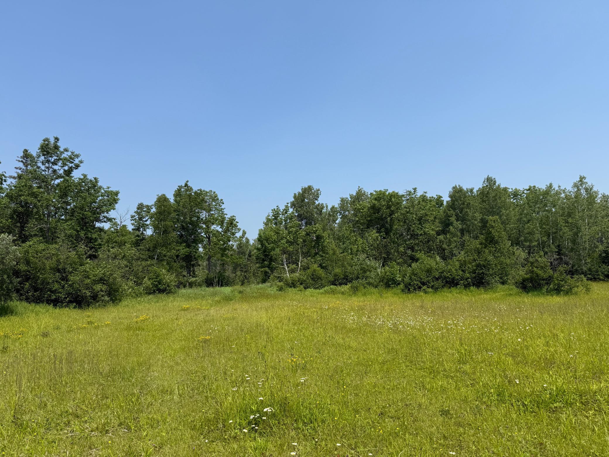 3437 Blueberry Hill Road Two Harbors, MN 55616 - Photo 76 of 106