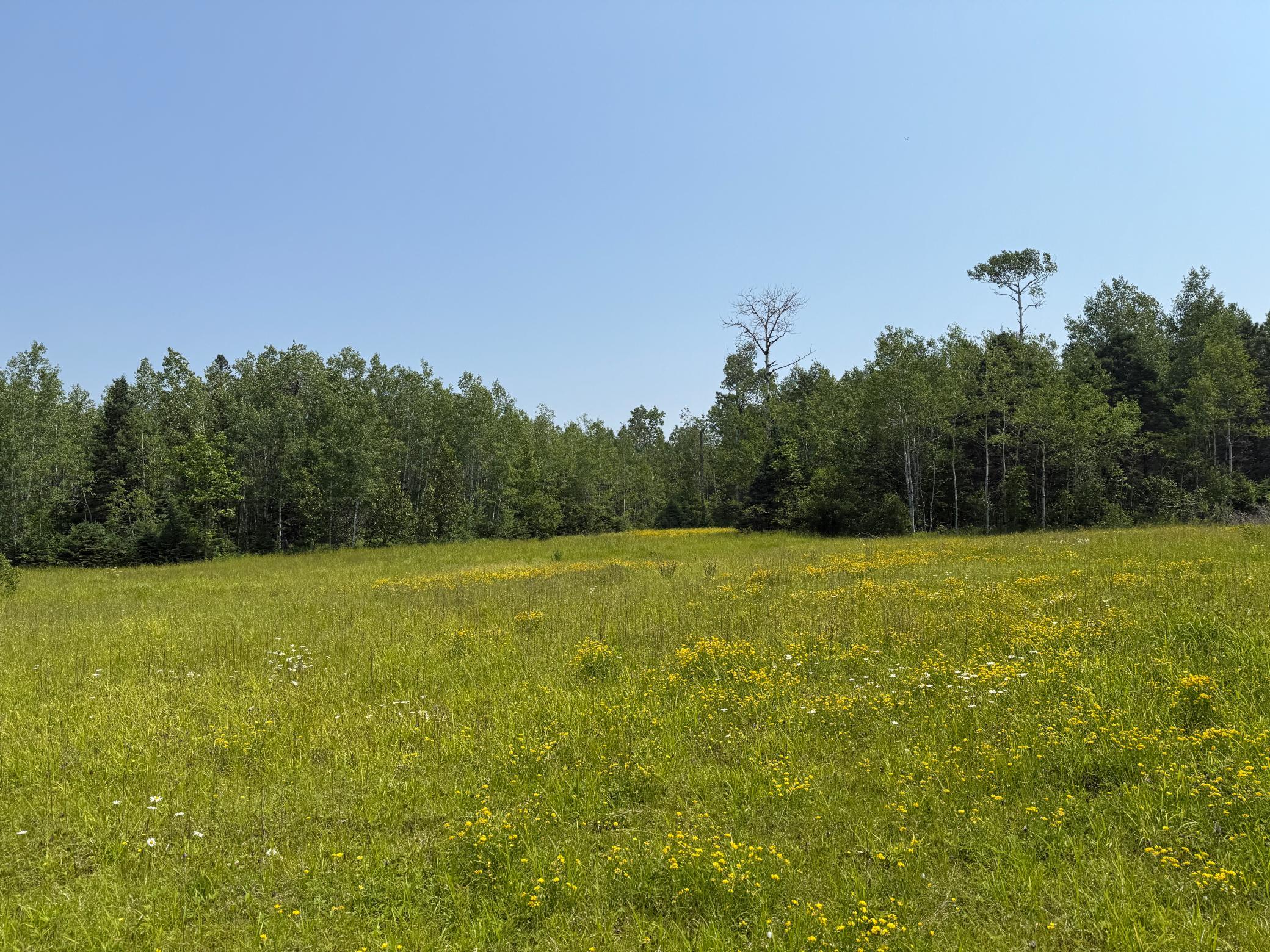3437 Blueberry Hill Road Two Harbors, MN 55616 - Photo 77 of 106
