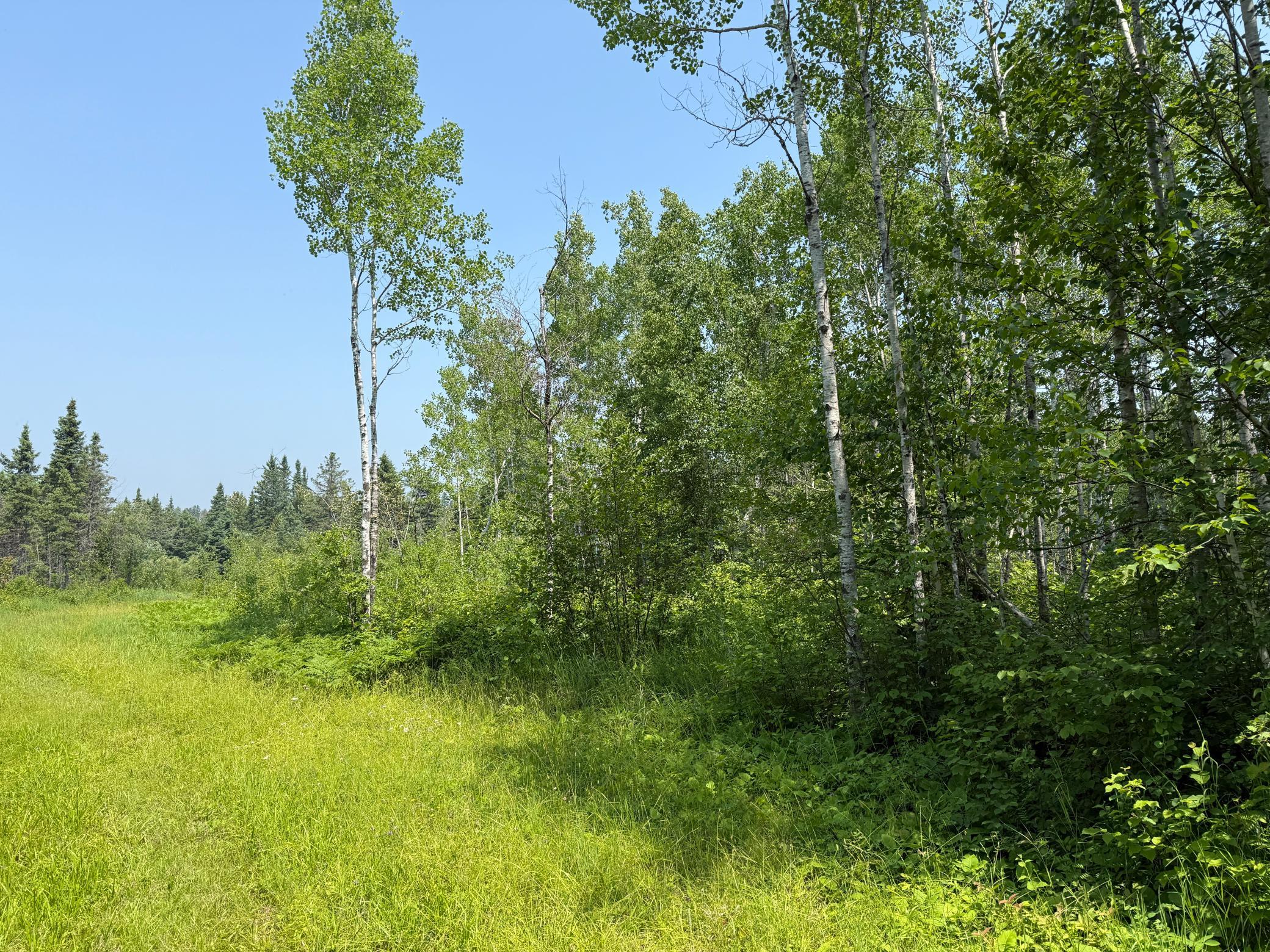 3437 Blueberry Hill Road Two Harbors, MN 55616 - Photo 79 of 106