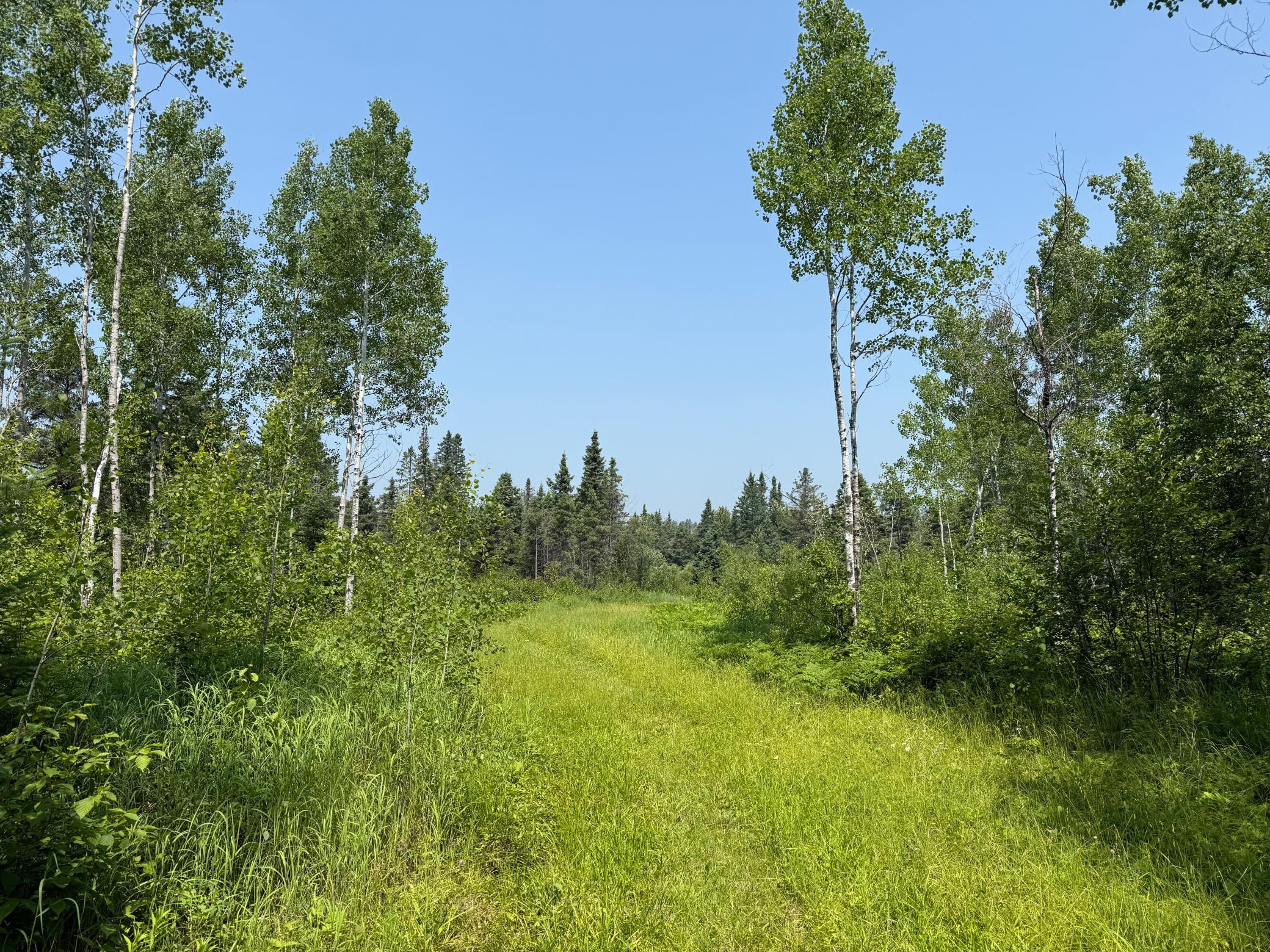3437 Blueberry Hill Road Two Harbors, MN 55616 - Photo 80 of 106