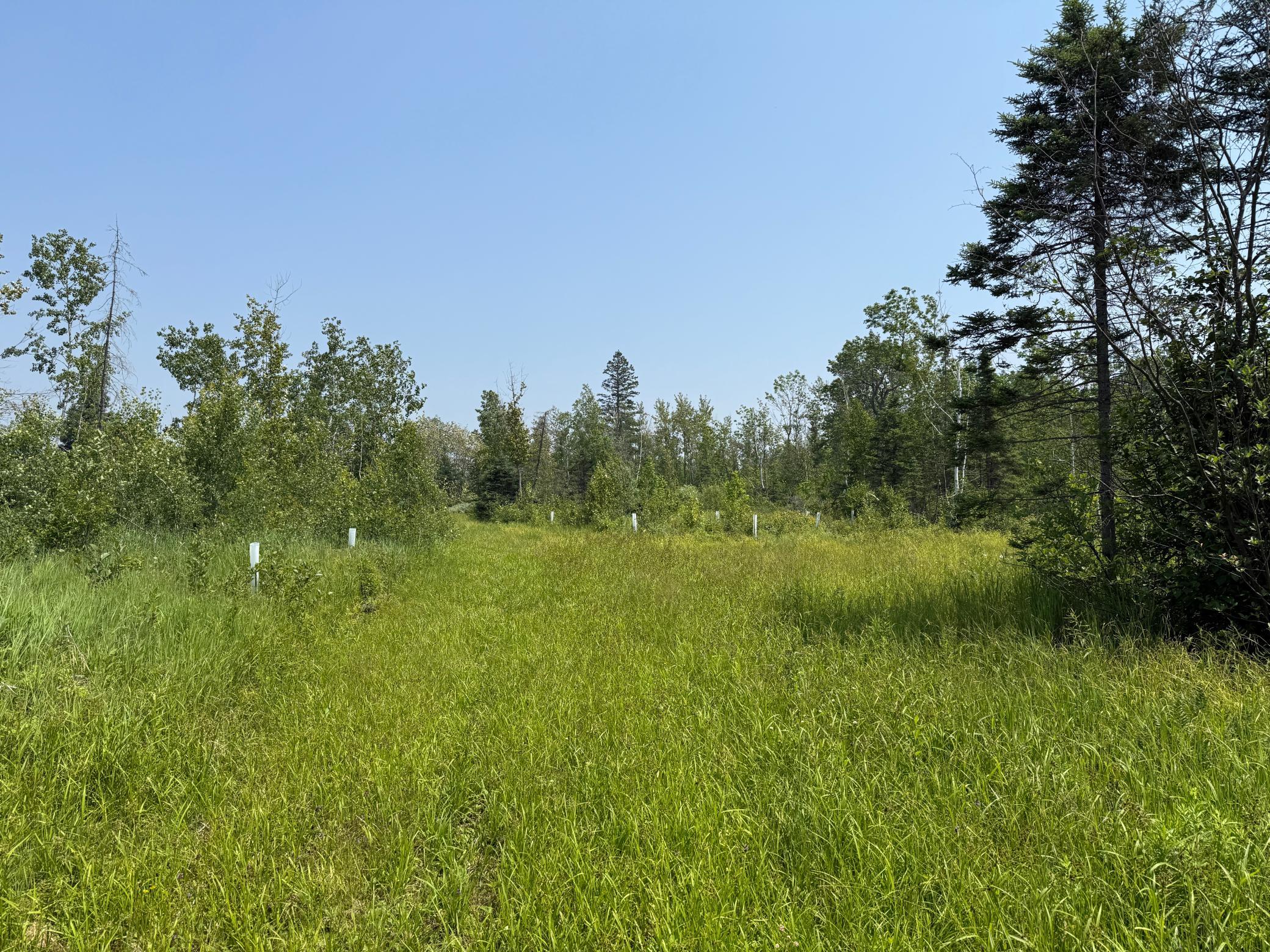 3437 Blueberry Hill Road Two Harbors, MN 55616 - Photo 81 of 106