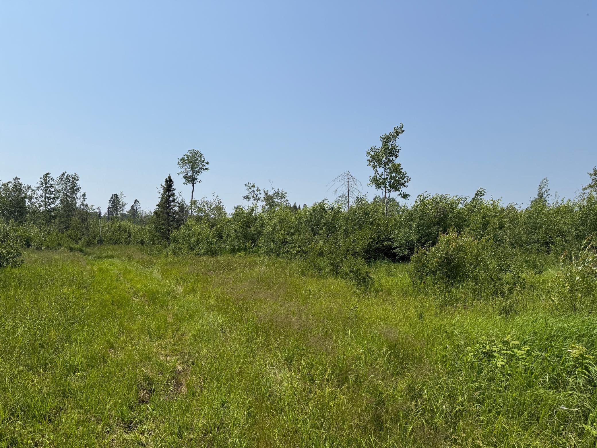 3437 Blueberry Hill Road Two Harbors, MN 55616 - Photo 82 of 106