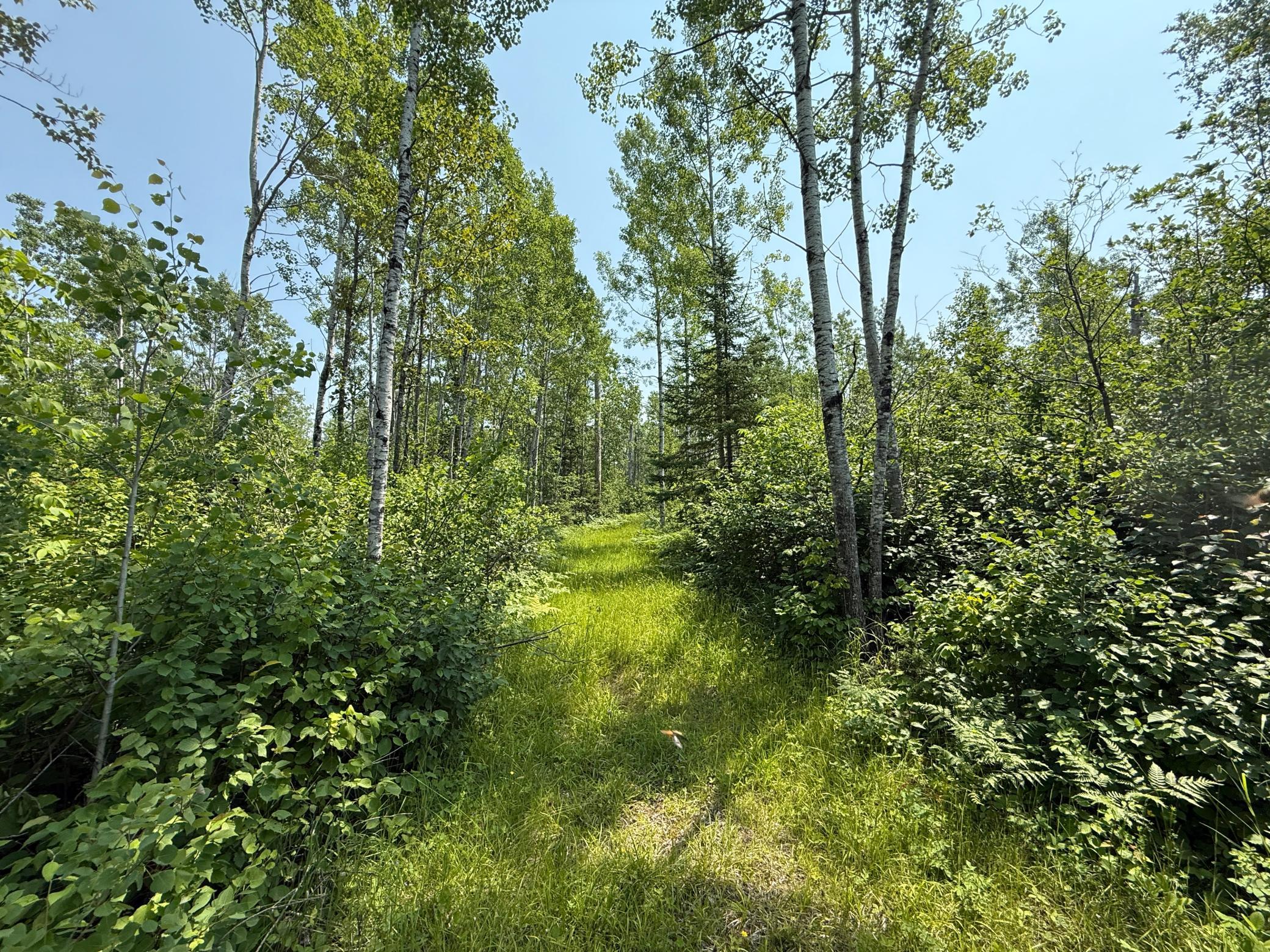 3437 Blueberry Hill Road Two Harbors, MN 55616 - Photo 83 of 106