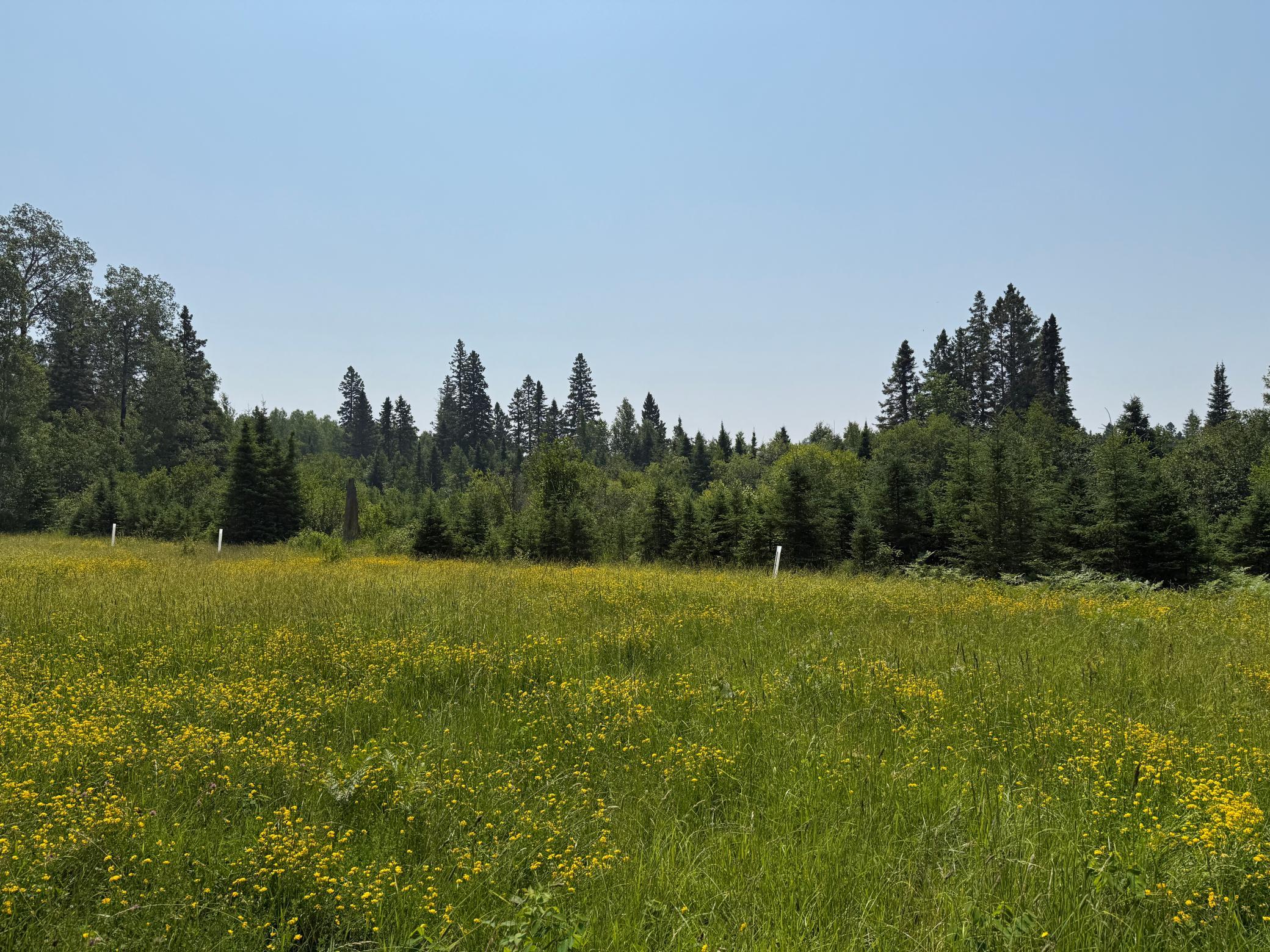 3437 Blueberry Hill Road Two Harbors, MN 55616 - Photo 84 of 106