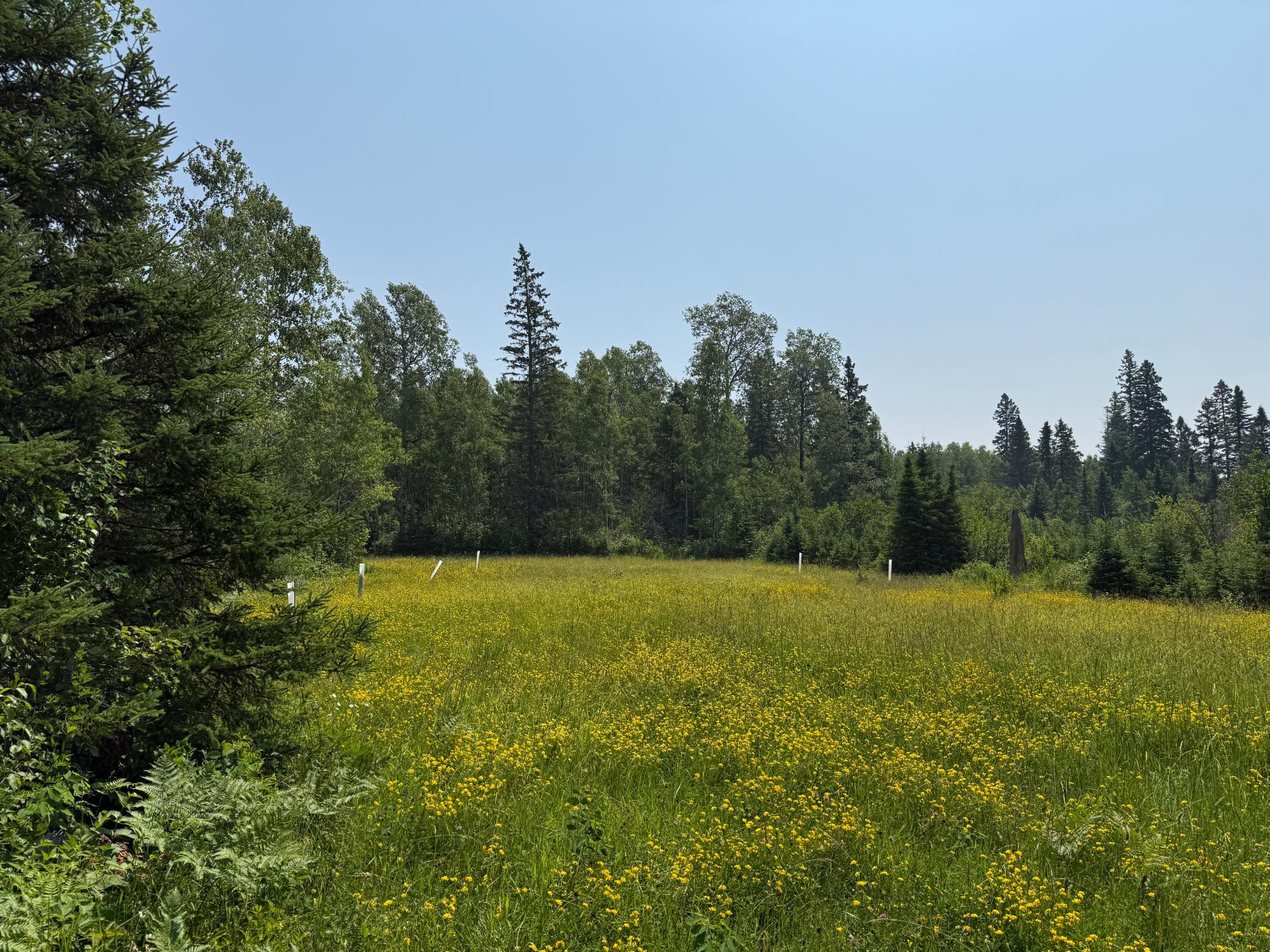 3437 Blueberry Hill Road Two Harbors, MN 55616 - Photo 85 of 106