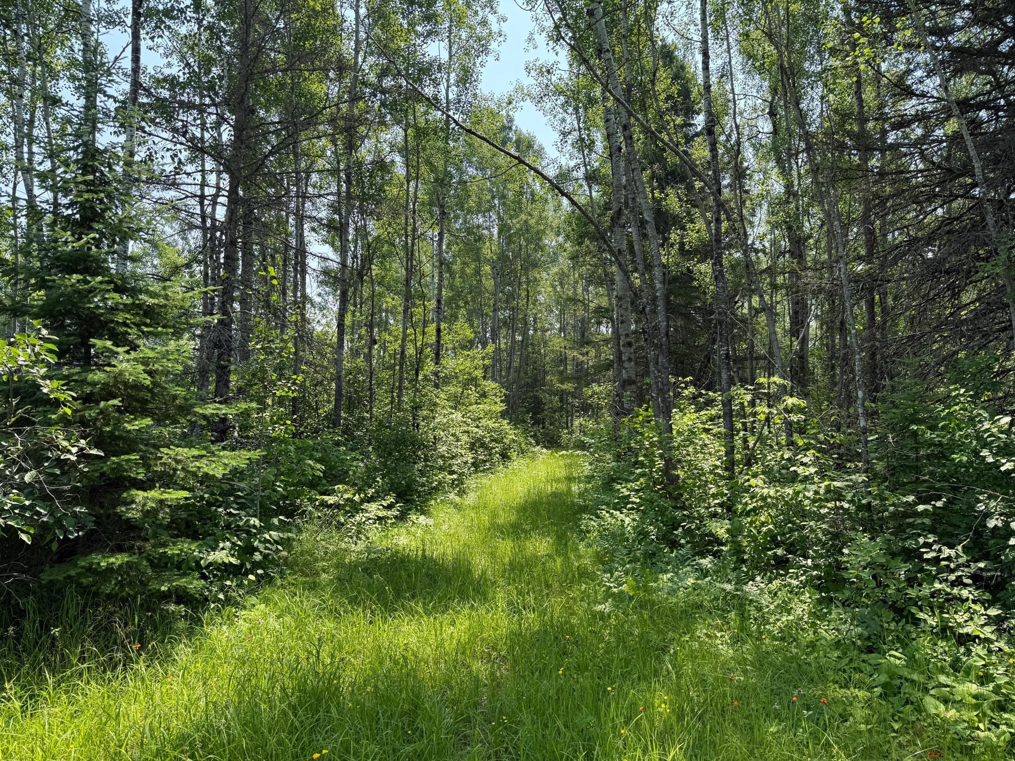 3437 Blueberry Hill Road Two Harbors, MN 55616 - Photo 86 of 106