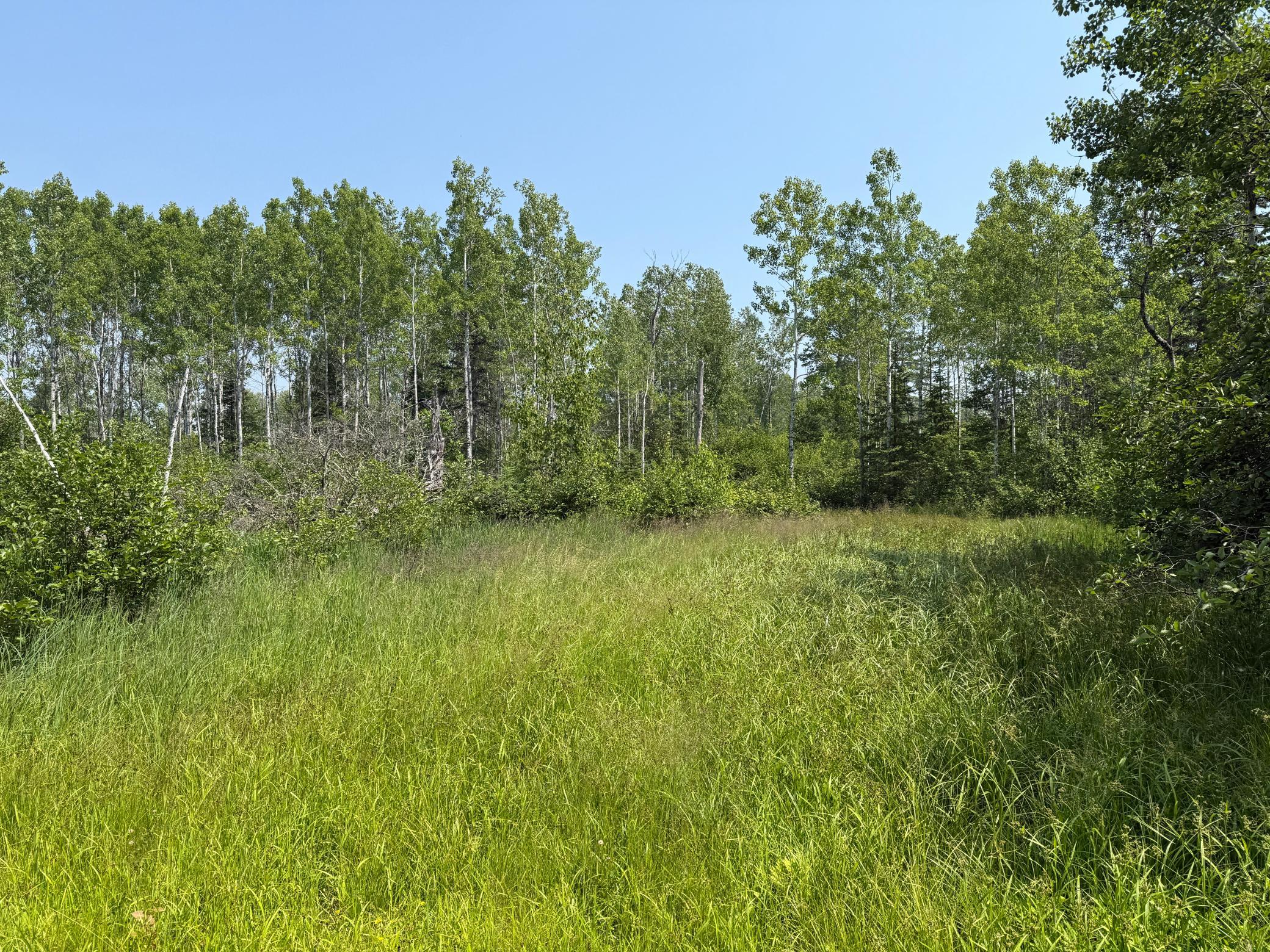 3437 Blueberry Hill Road Two Harbors, MN 55616 - Photo 87 of 106