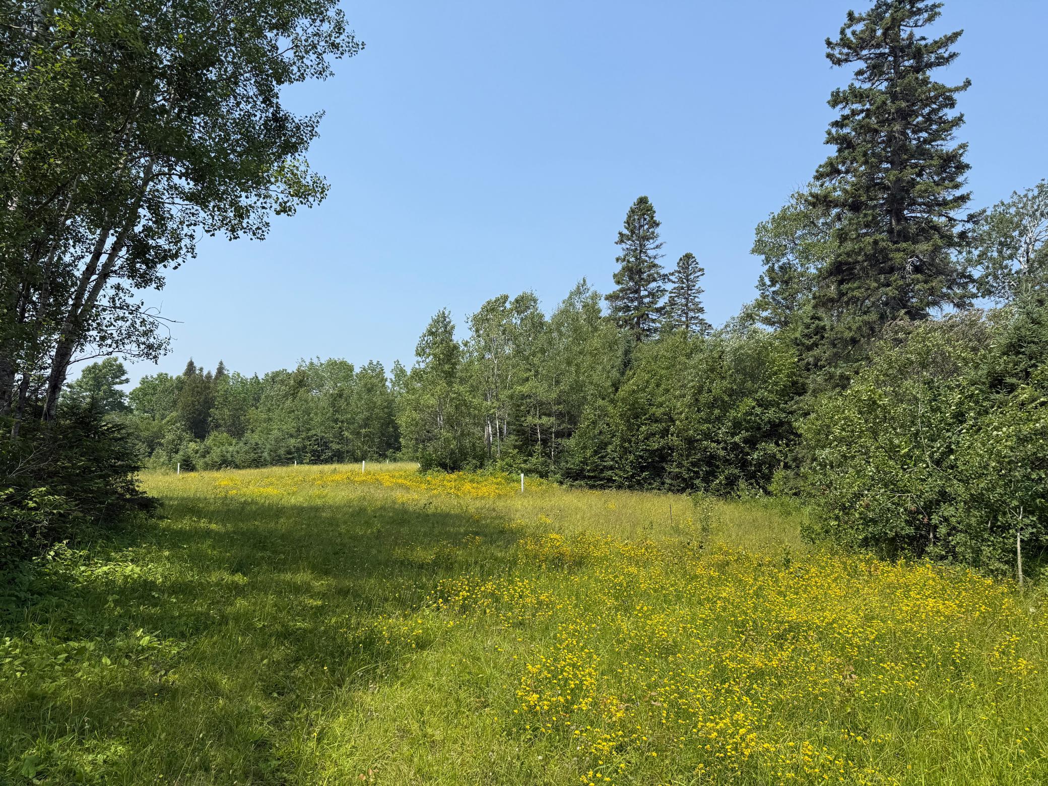 3437 Blueberry Hill Road Two Harbors, MN 55616 - Photo 88 of 106