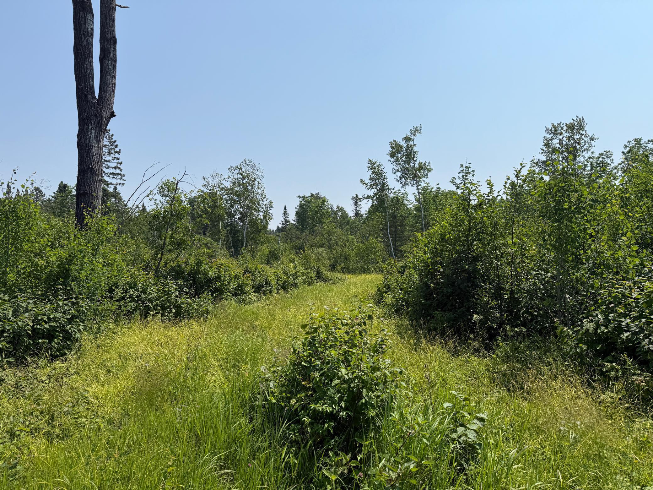3437 Blueberry Hill Road Two Harbors, MN 55616 - Photo 89 of 106
