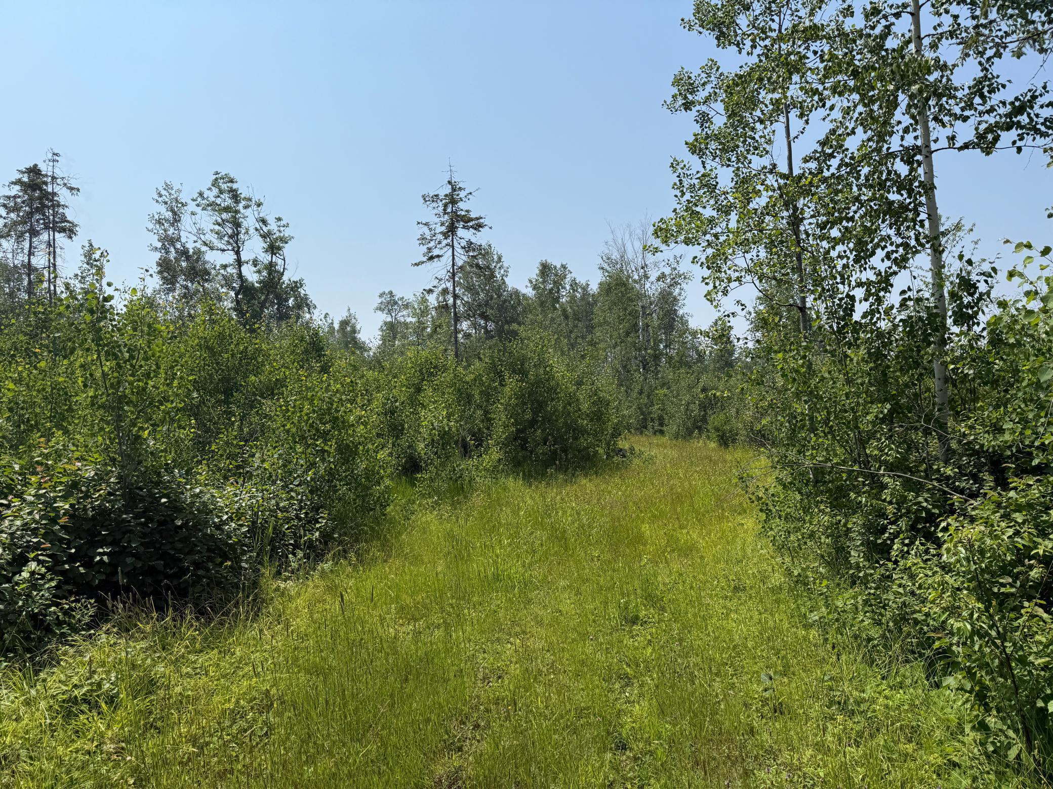 3437 Blueberry Hill Road Two Harbors, MN 55616 - Photo 90 of 106