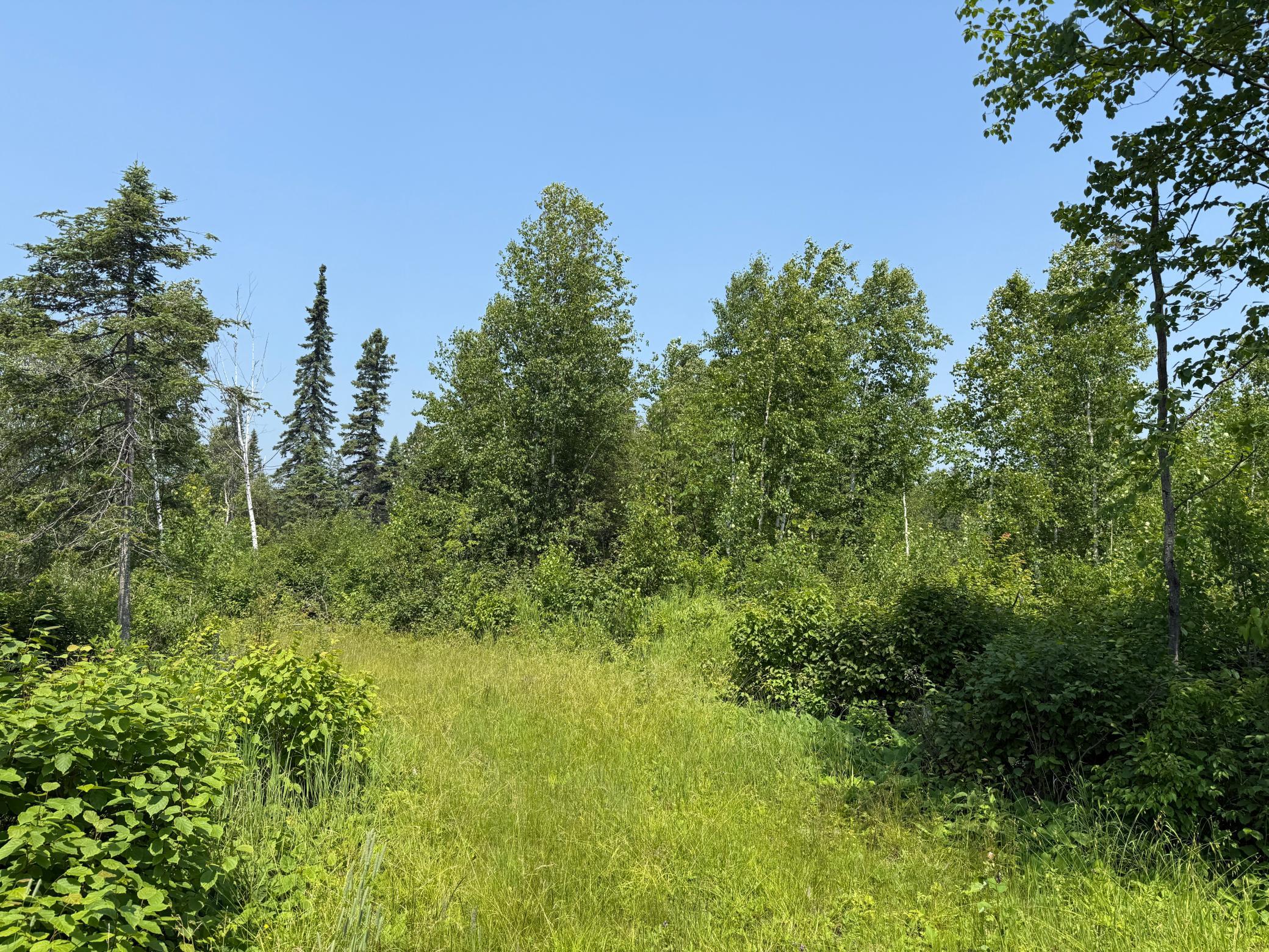 3437 Blueberry Hill Road Two Harbors, MN 55616 - Photo 91 of 106