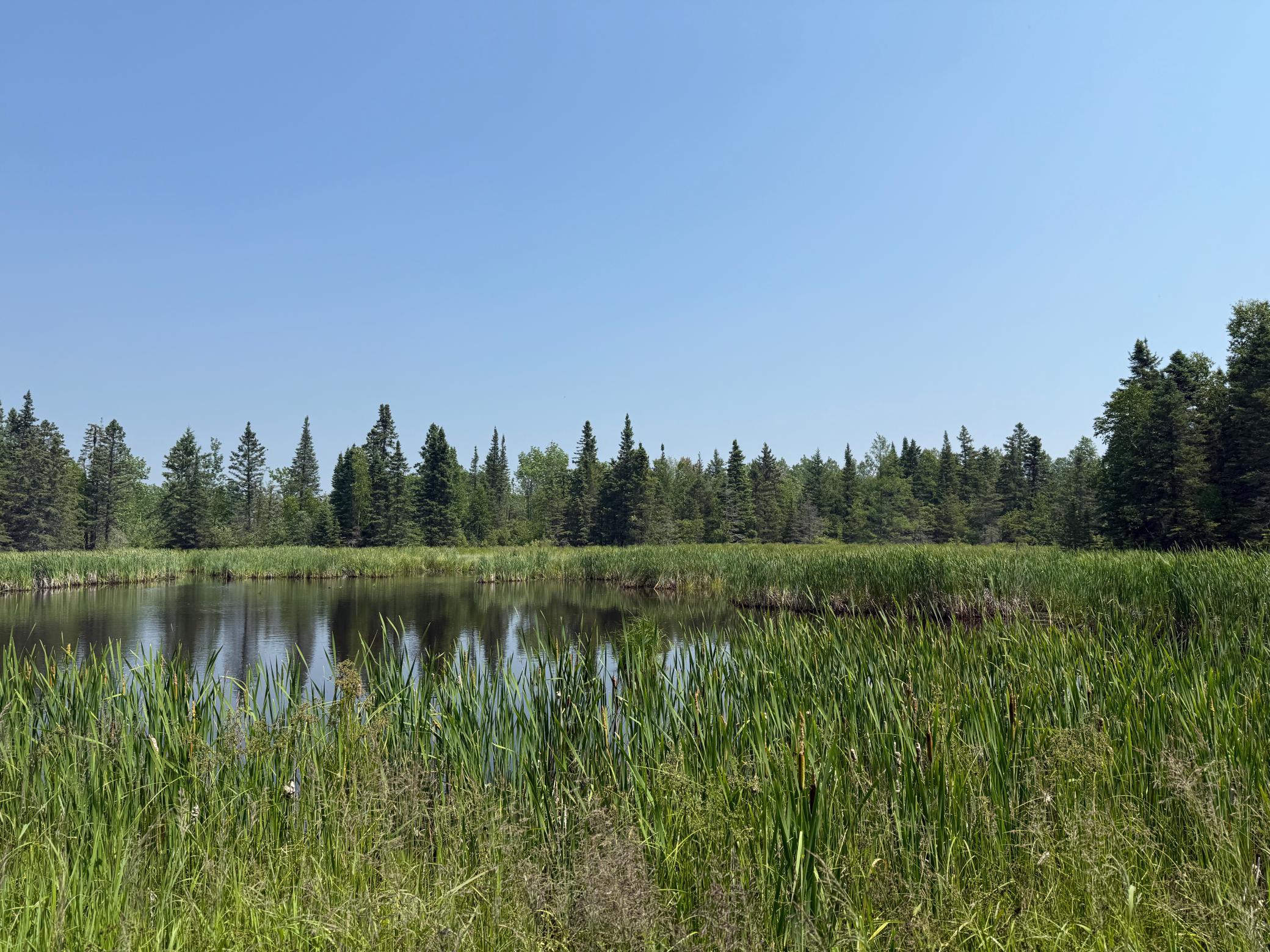 3437 Blueberry Hill Road Two Harbors, MN 55616 - Photo 92 of 106