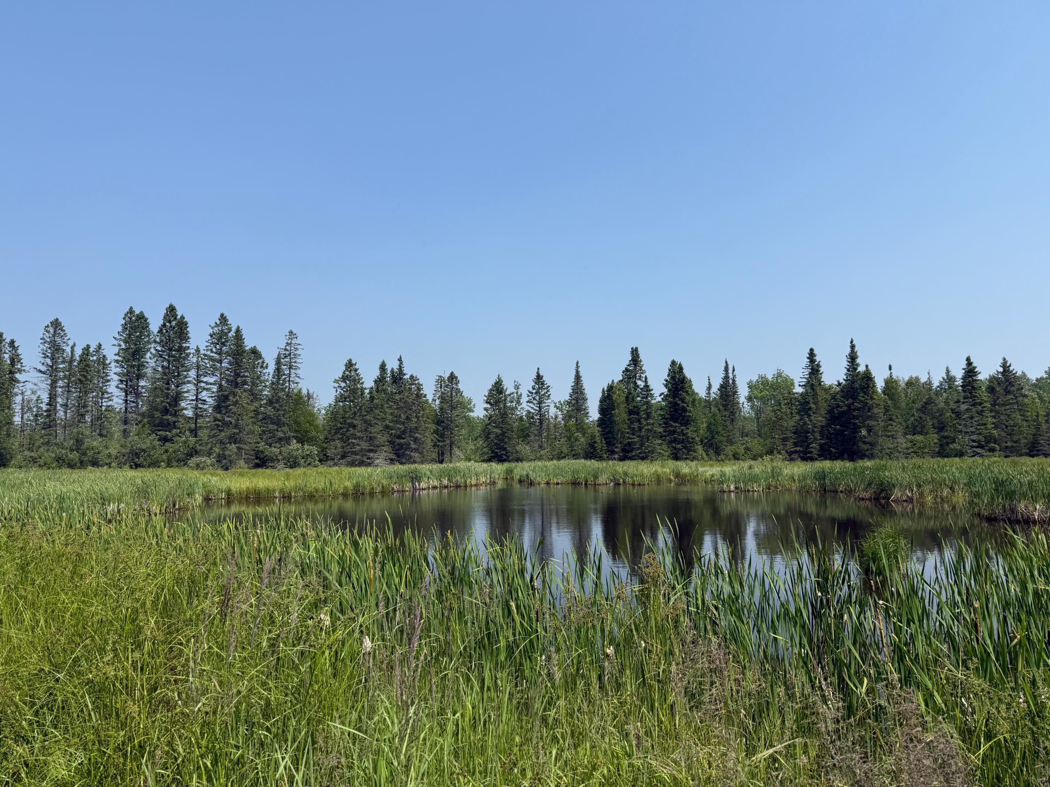 3437 Blueberry Hill Road Two Harbors, MN 55616 - Photo 93 of 106