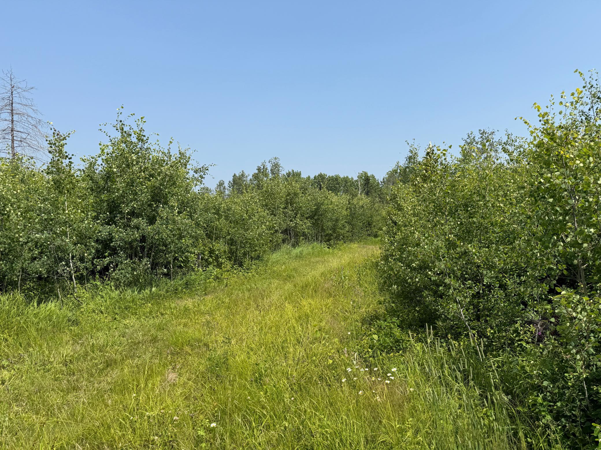 3437 Blueberry Hill Road Two Harbors, MN 55616 - Photo 94 of 106