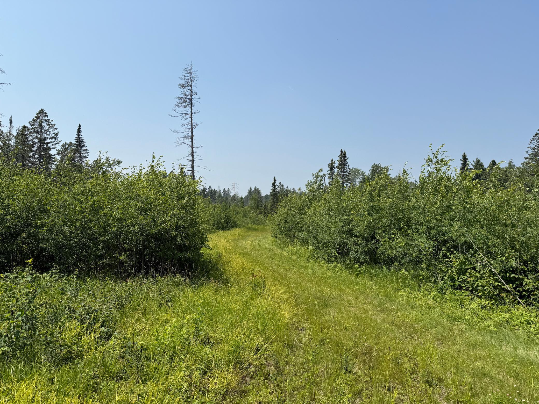 3437 Blueberry Hill Road Two Harbors, MN 55616 - Photo 95 of 106