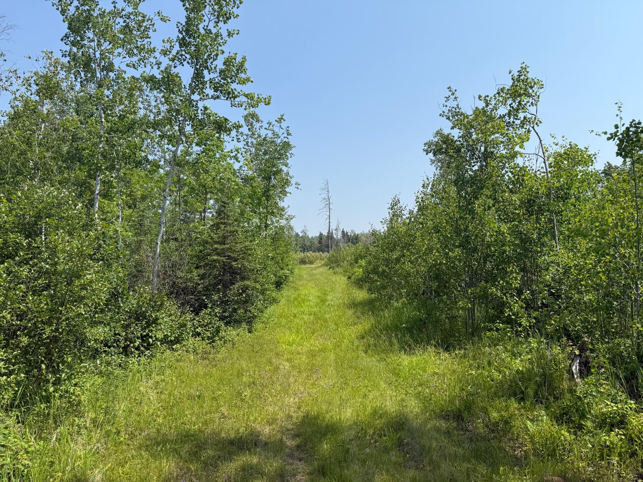 3437 Blueberry Hill Road Two Harbors, MN 55616 - Photo 96 of 106
