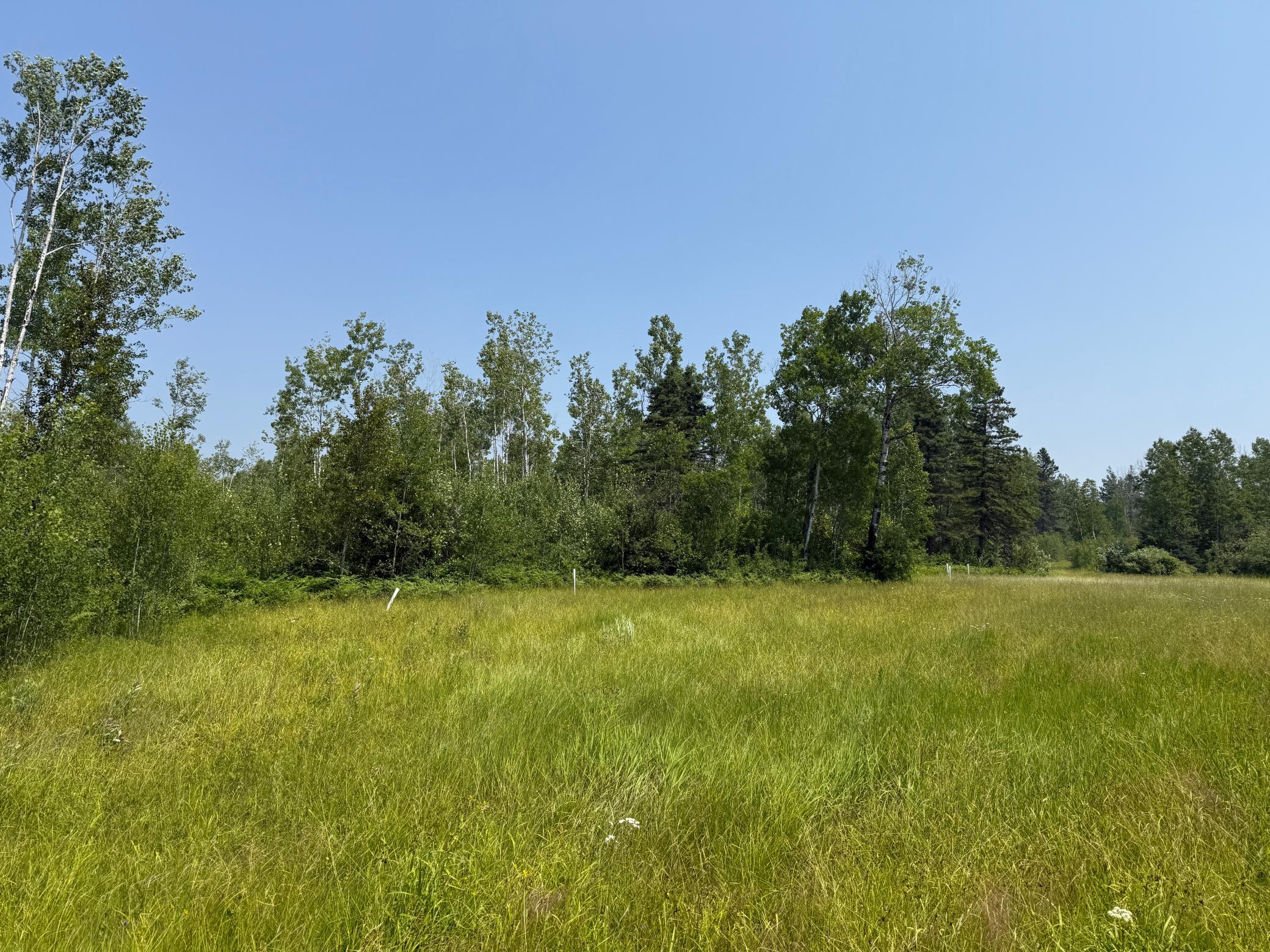 3437 Blueberry Hill Road Two Harbors, MN 55616 - Photo 97 of 106