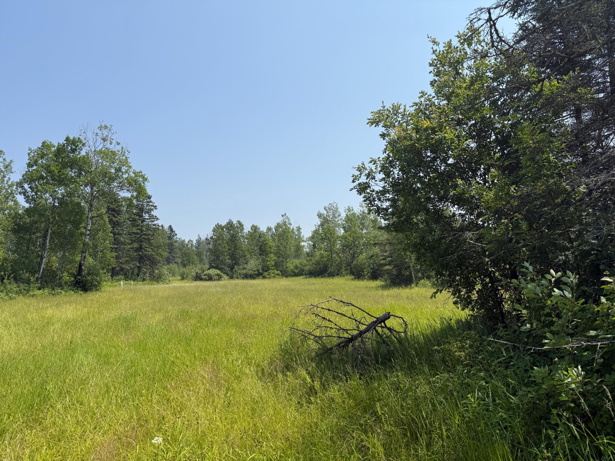3437 Blueberry Hill Road Two Harbors, MN 55616 - Photo 98 of 106