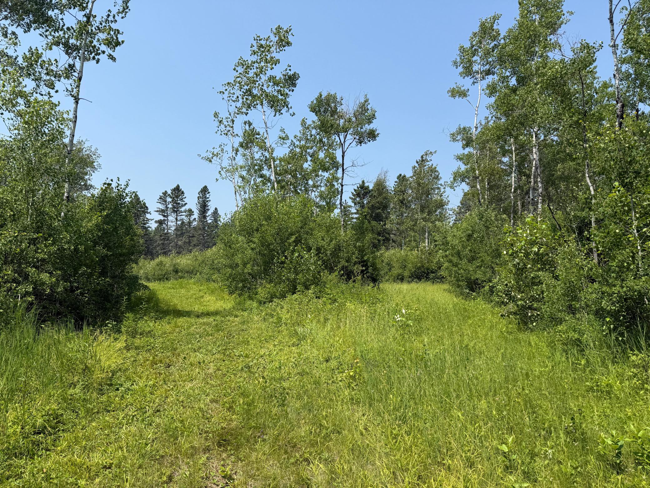 3437 Blueberry Hill Road Two Harbors, MN 55616 - Photo 99 of 106