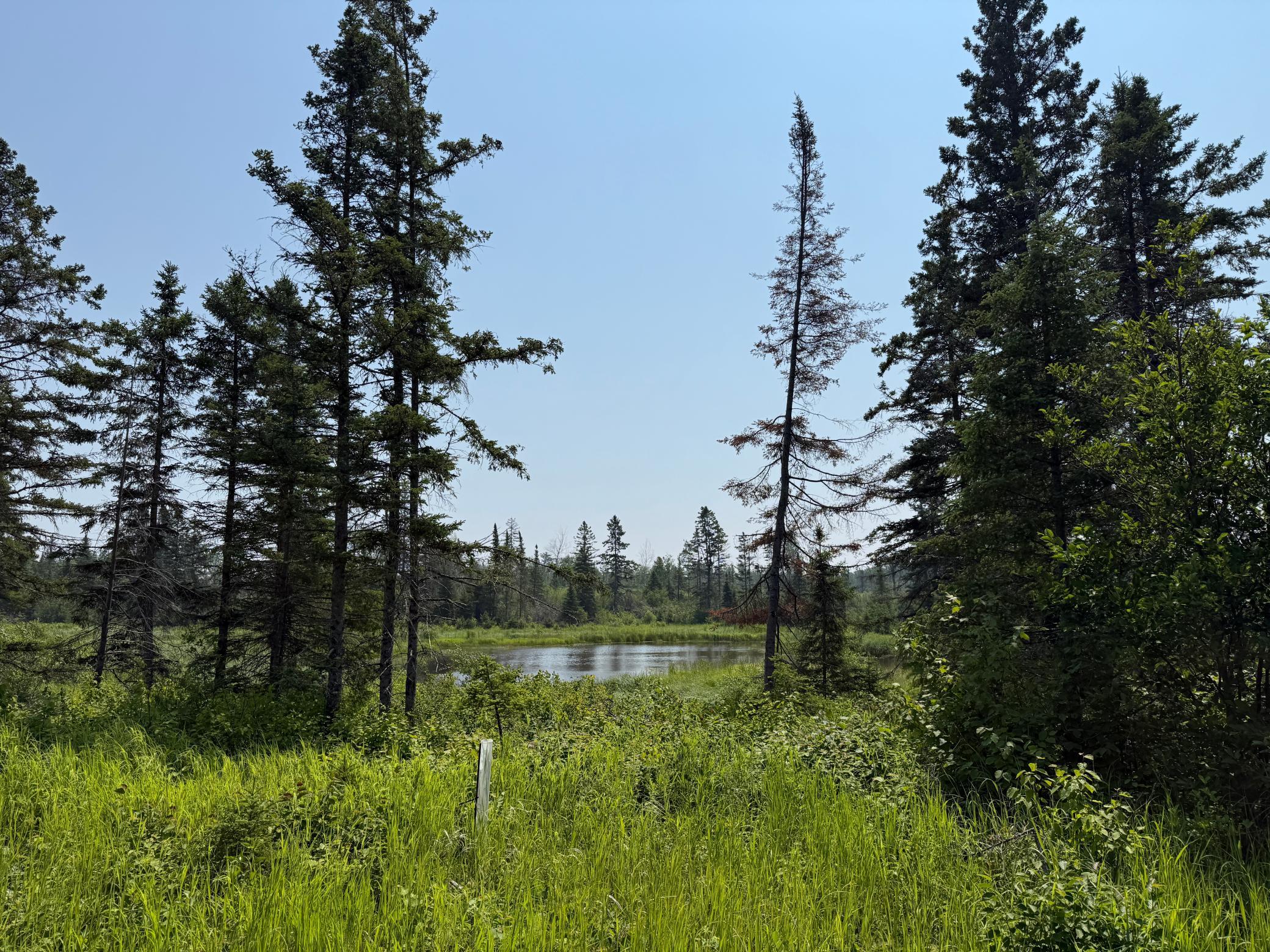 3437 Blueberry Hill Road Two Harbors, MN 55616 - Photo 100 of 106