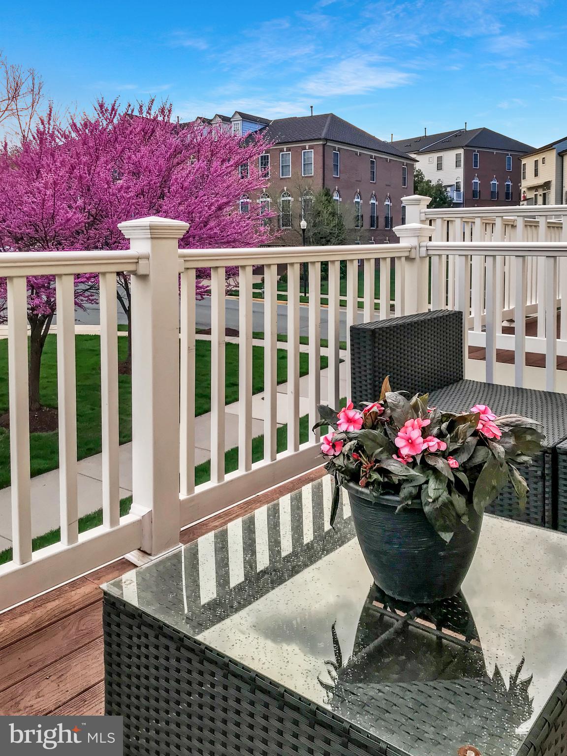 58 Sharpstead Lane Gaithersburg, MD 20878 - Photo 33 of 35
