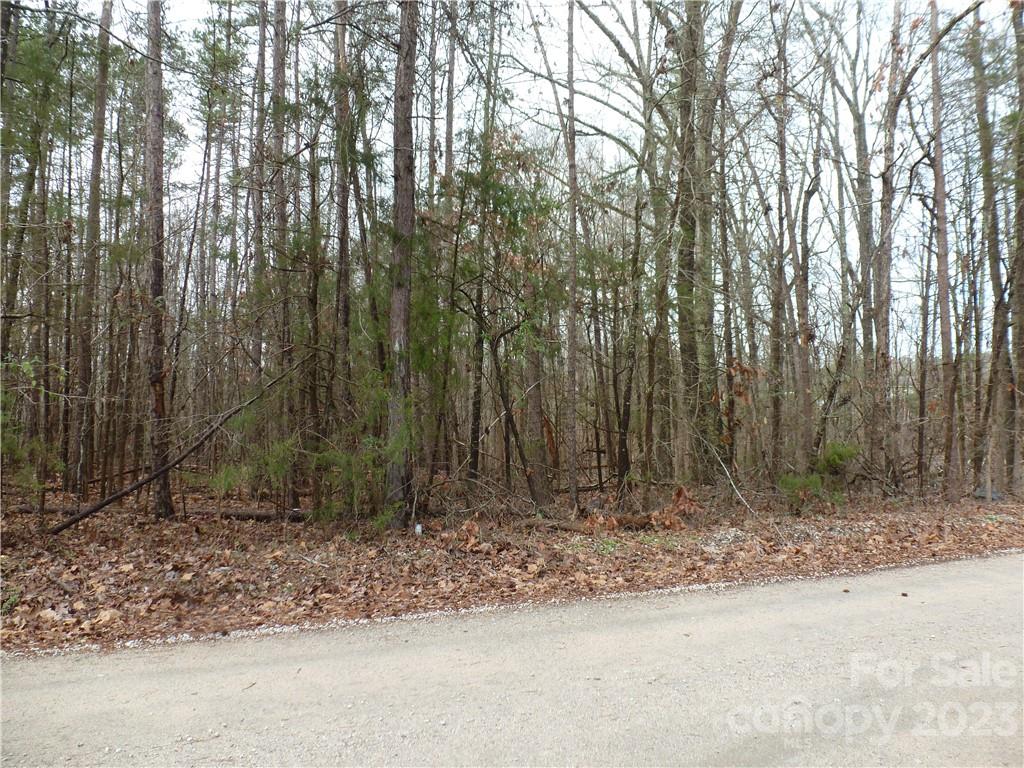 0 Atlas Lane Lancaster, SC 29720 - Photo 1 of 4 Gallery Image 1