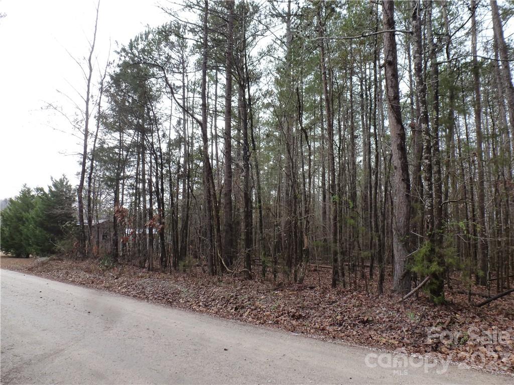 0 Atlas Lane Lancaster, SC 29720 - Photo 2 of 4 Gallery Image 2