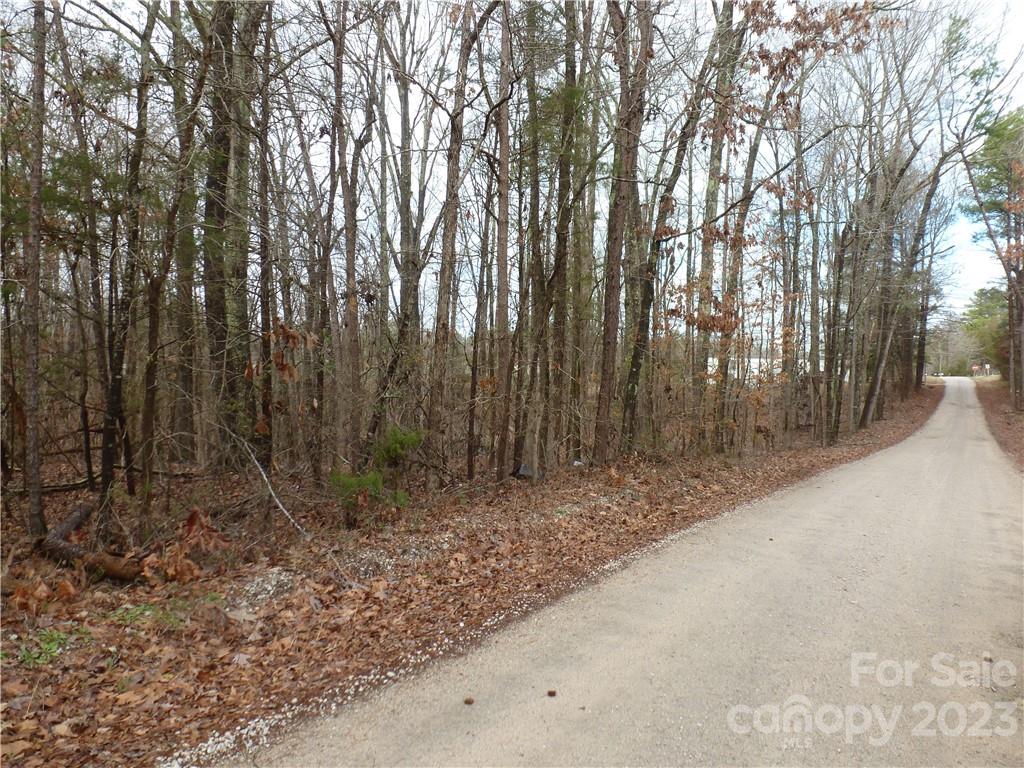 0 Atlas Lane Lancaster, SC 29720 - Photo 3 of 4 Gallery Image 3