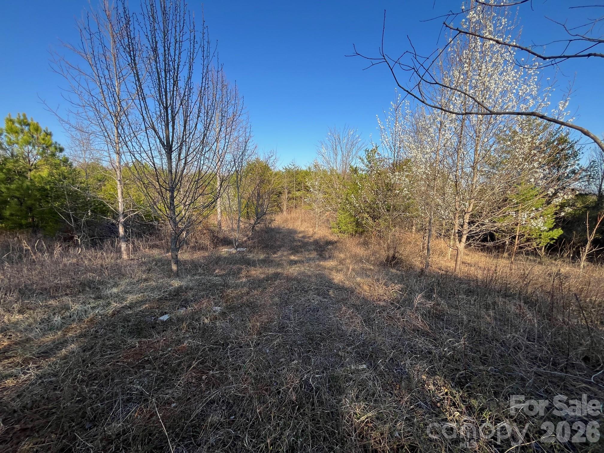 Tbd Southern Way Nebo, NC 28761 - Photo 19 of 22