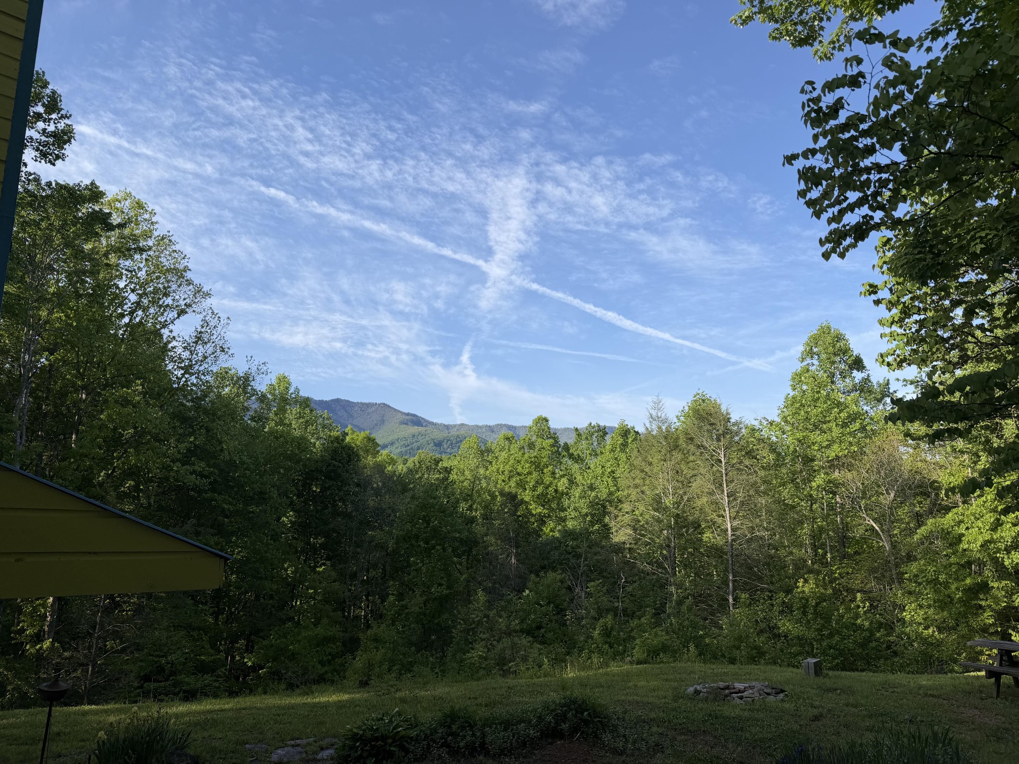 5475 Otto Williams Road Cosby, TN 37722 - Photo 3 of 46